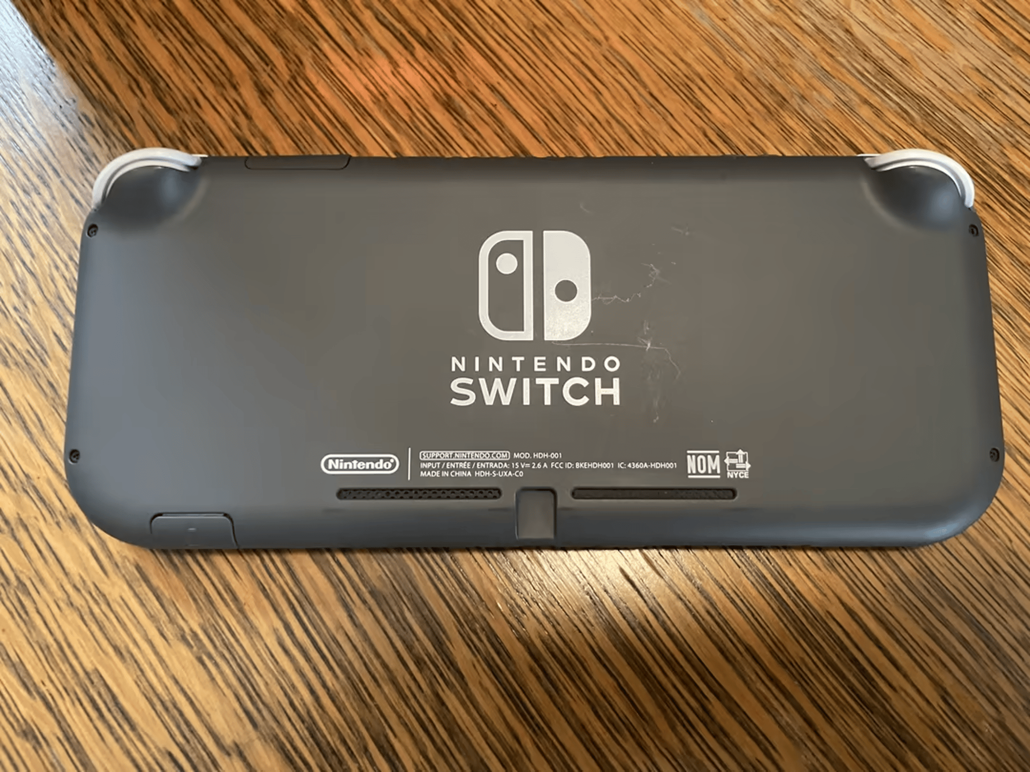 Gray Nintendo Switch Lite + case