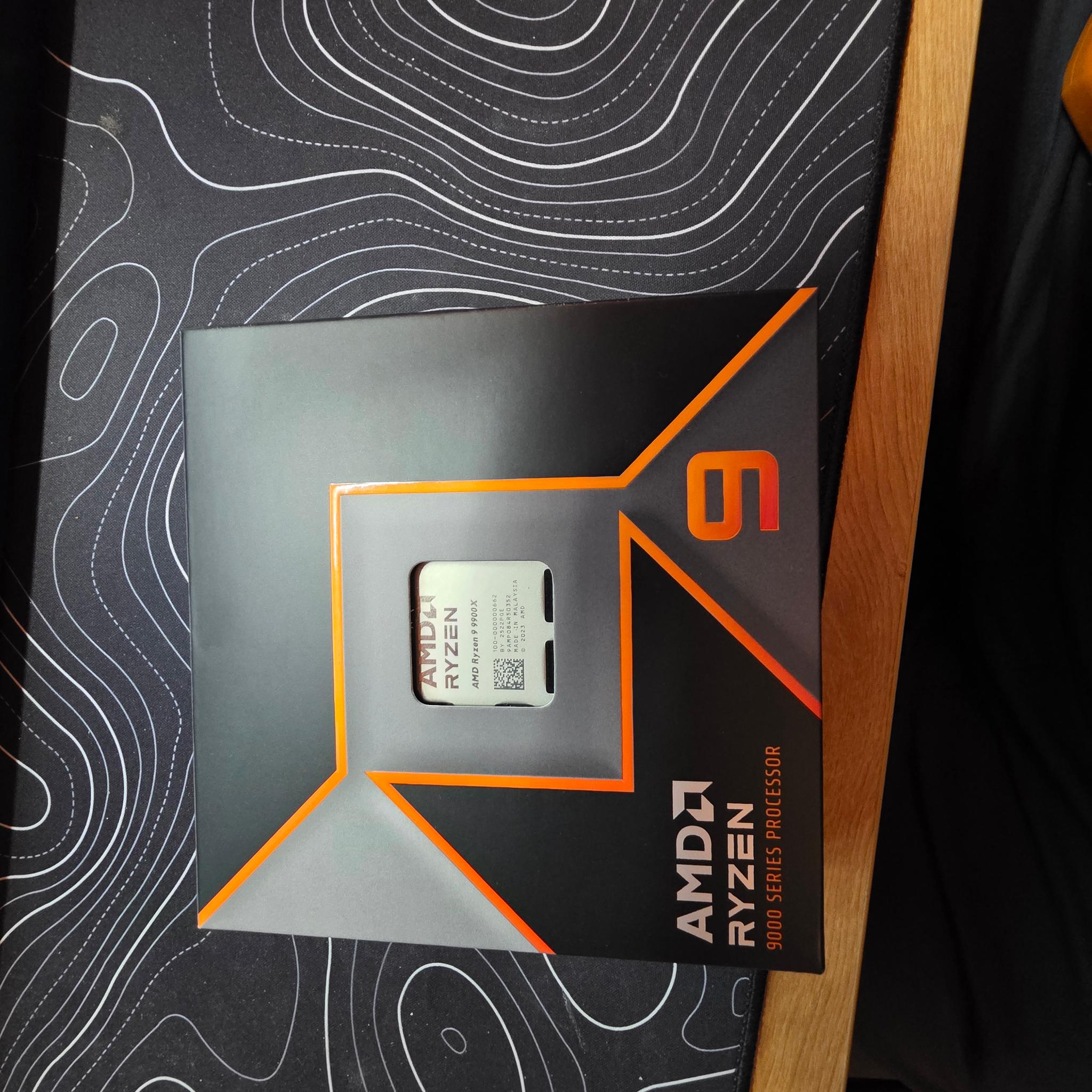 AMD Ryzen 9 9900X
