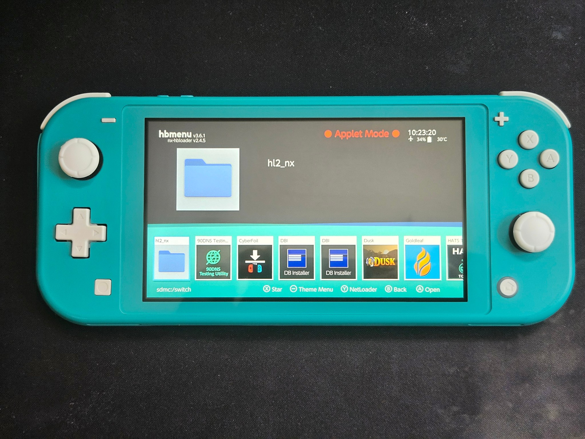 Modded Switch Lite with 256GB SD Card and Picofly