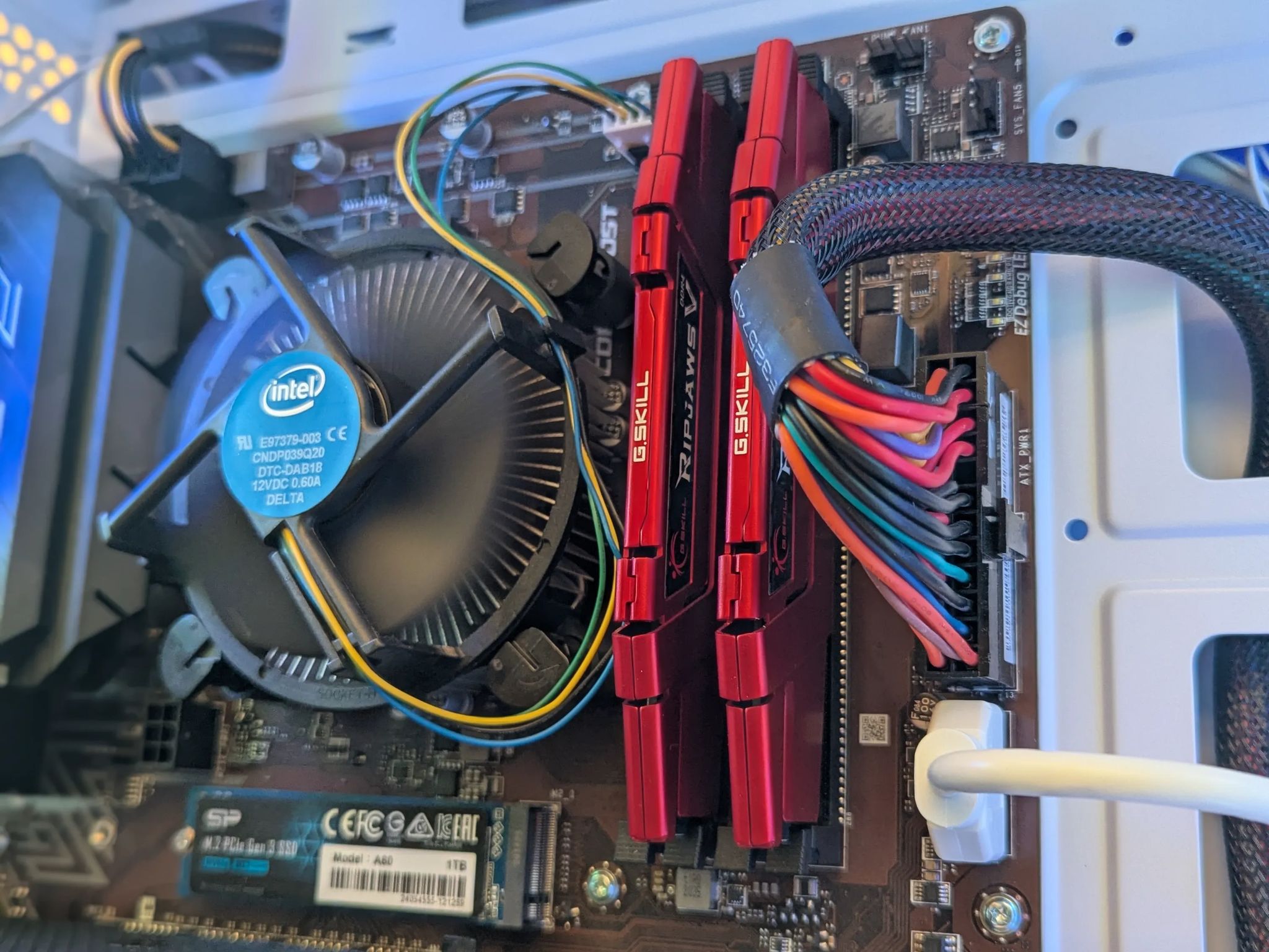 🛡️ BaxCalibur | 1660 Super | i3-9100 | Clean White Starter Build | 16GB DDR4 | 1TB NVMe