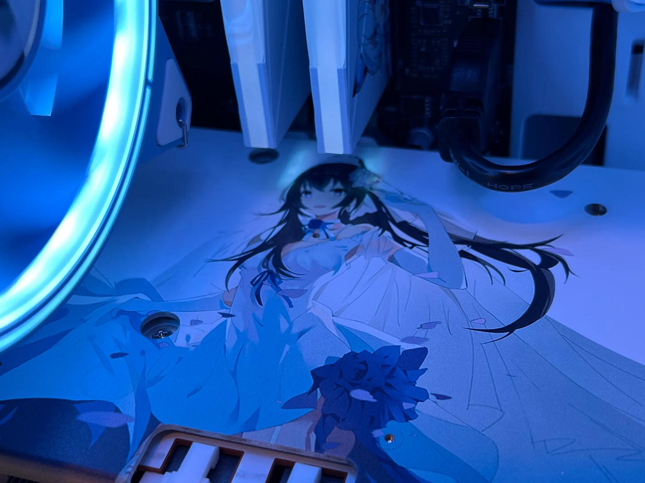 🤍💙 YESTON Sakura Build | i5-12400 | Radeon RX 6700XT 💙🤍