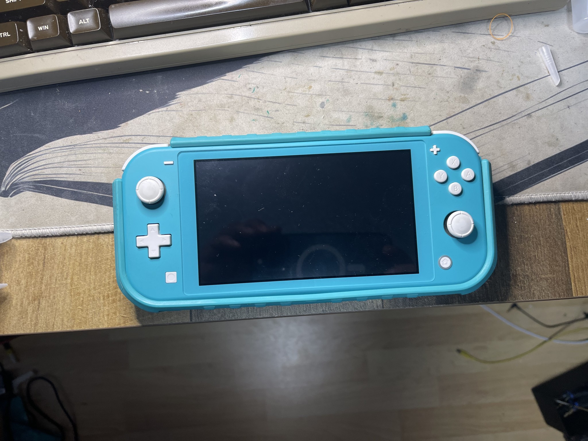 BROKEN Not Working Nintendo Switch Lite