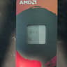 AMD Ryzen 5 5500GT 3.6 GHz 6-Core Processor (Integrated Graphics)