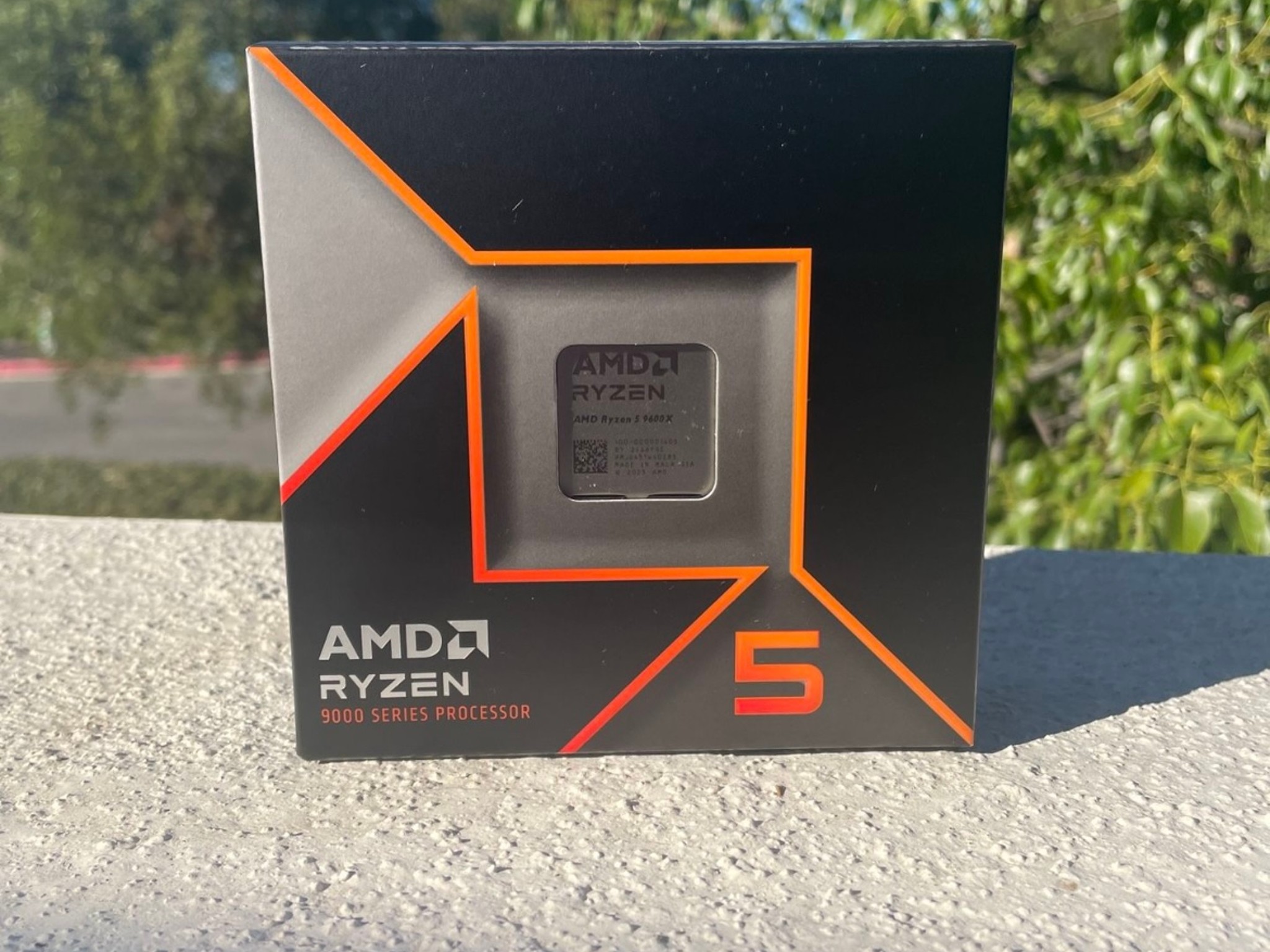 AMD Ryzen 5 9600X