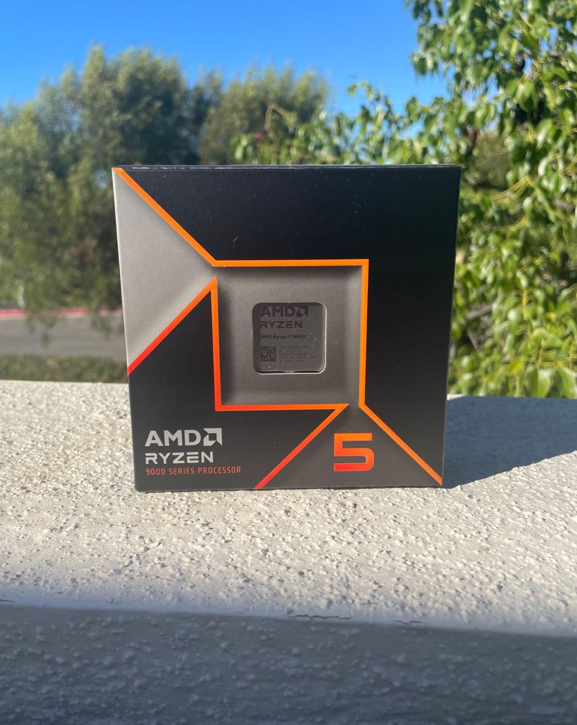 AMD Ryzen 5 9600X