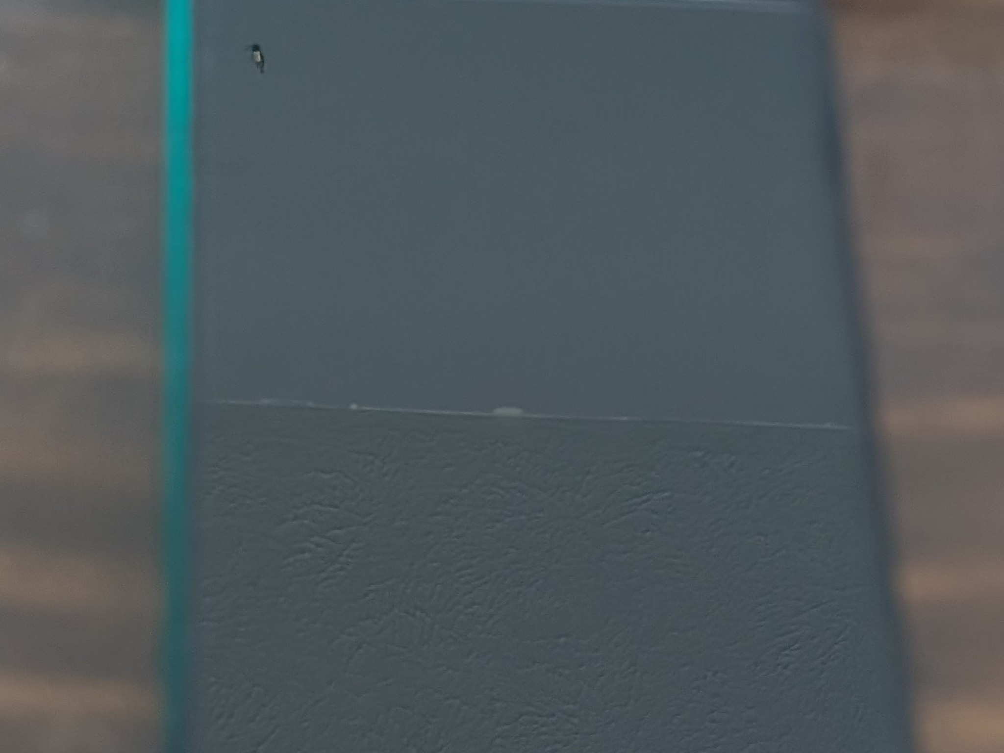 Broken Google Pixel 6A