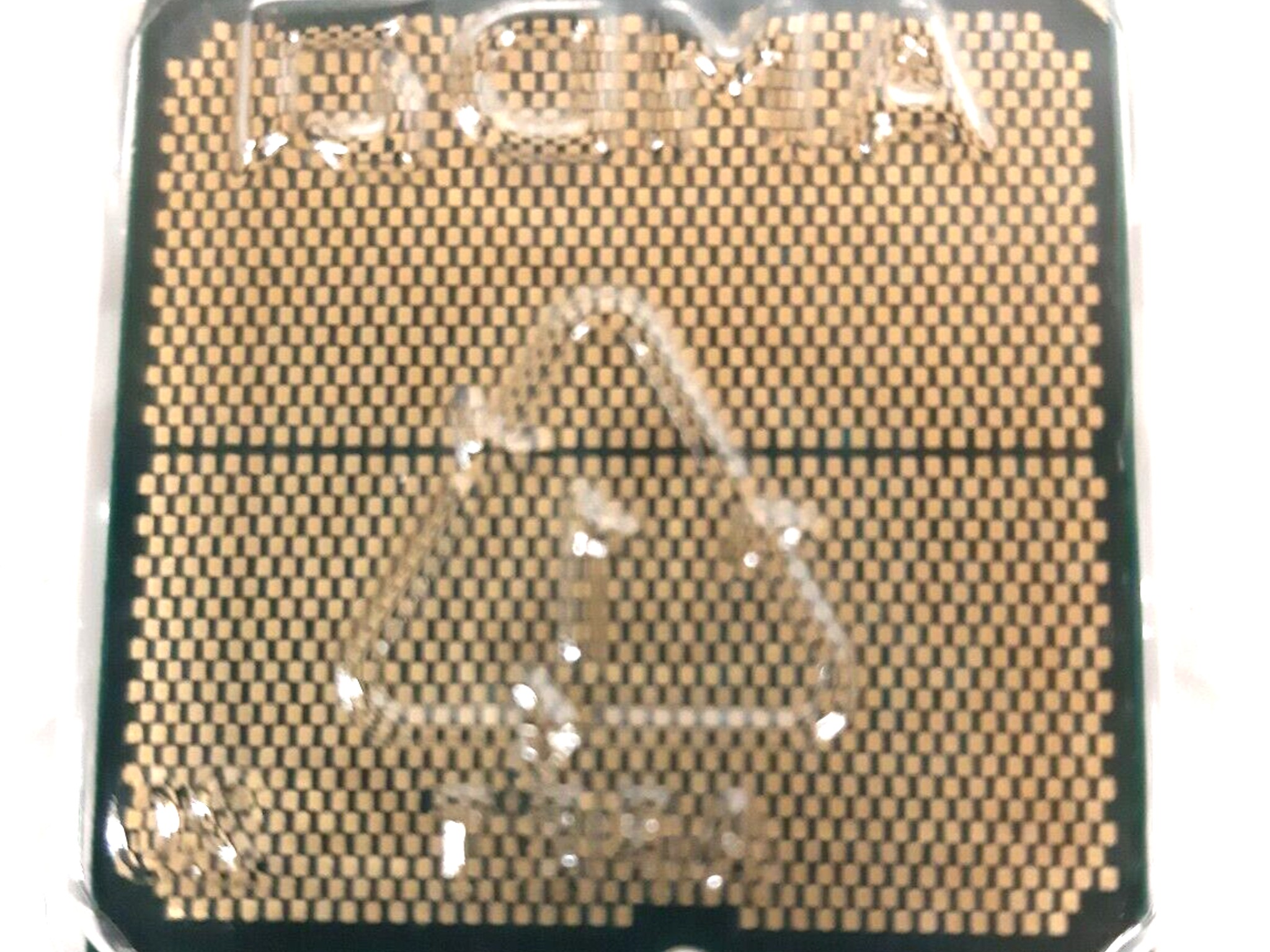 AMD Ryzen 7 7700x Processor (5.4 GHz, 8 Cores, LGA 1718/Socket AM5)