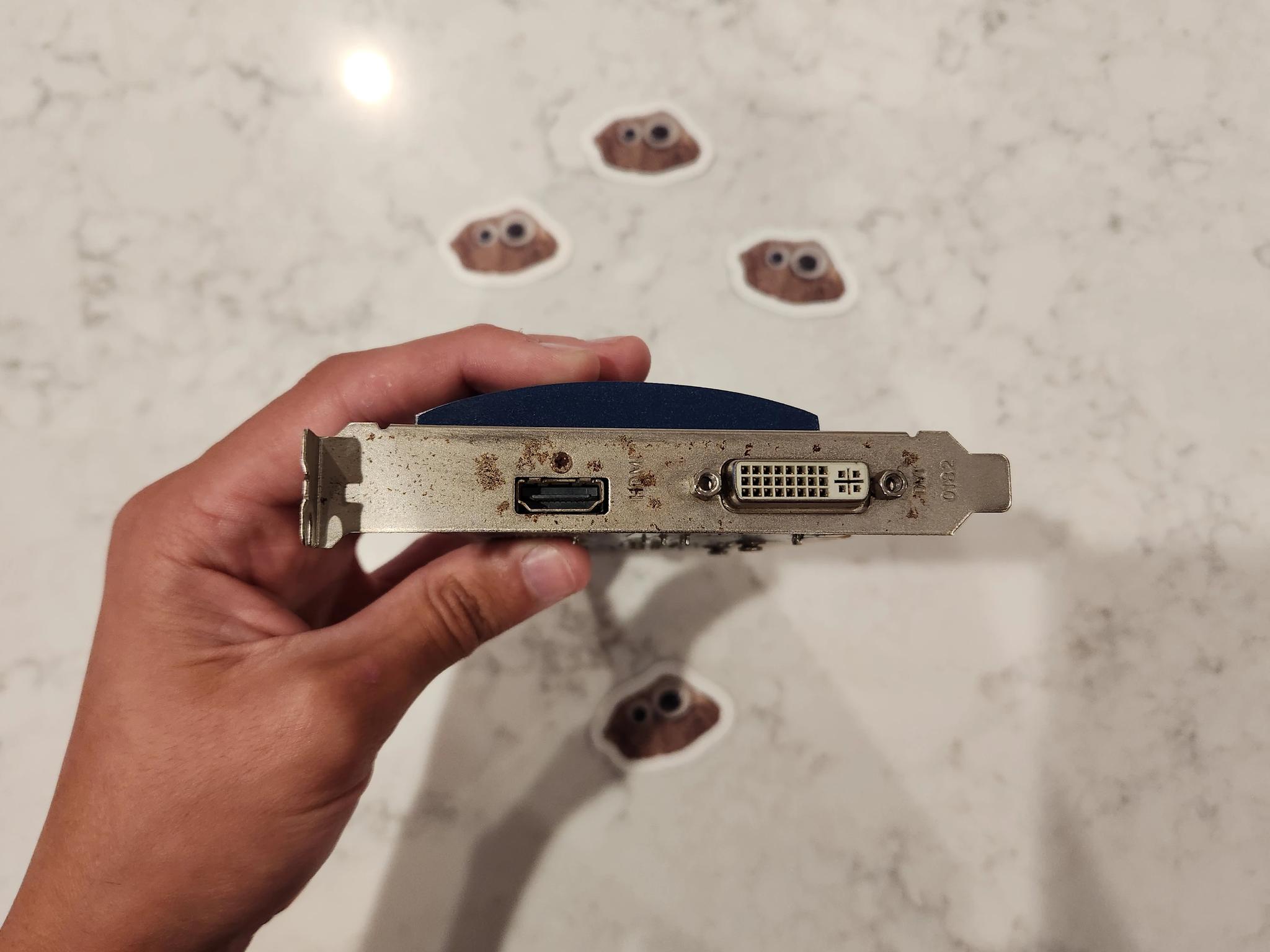 An Incredibly Suspicious and Wildly Chinese GT 710 1GB - Used