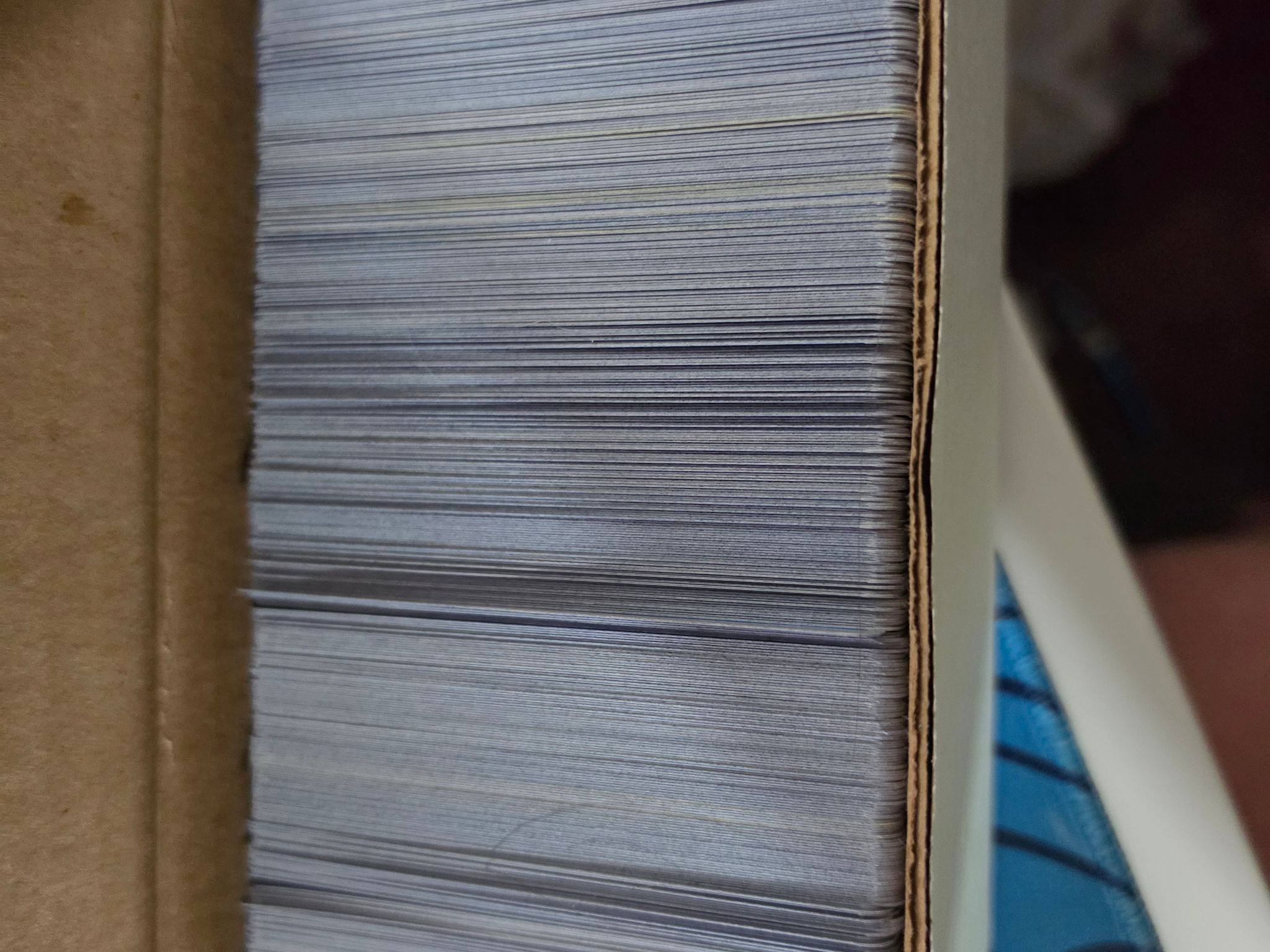 Pokemon Card Collection & Extra Gear