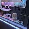 AI/LLM,content creation, hybrid gaming/workstation
