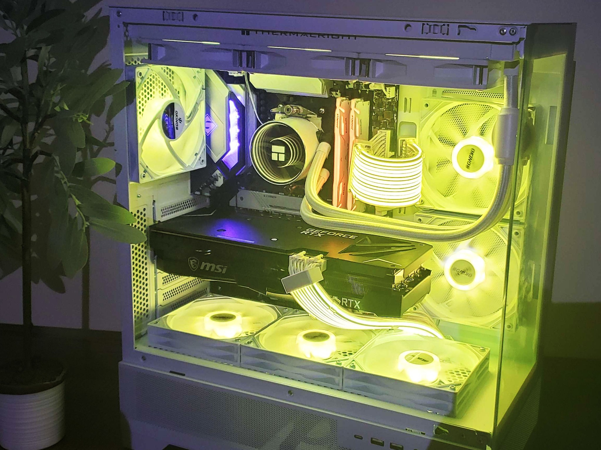 "The Chill" 1440P Beast