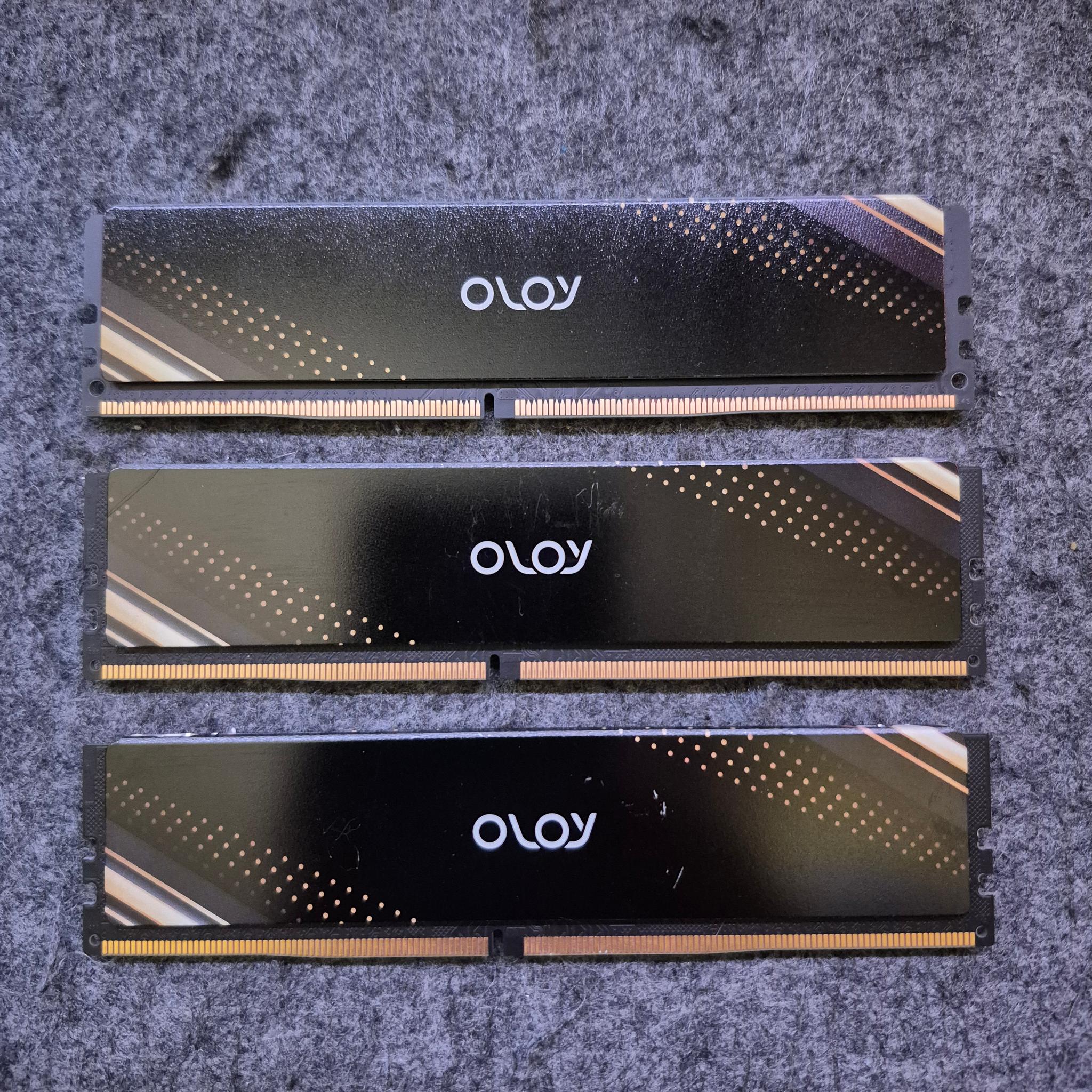 OLOY 24 GB DDR4 RAM