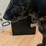 HP OMEN gaming PC | I5 7400 | GTX 1060 | 16GB | 2 TB SSD/HDD |