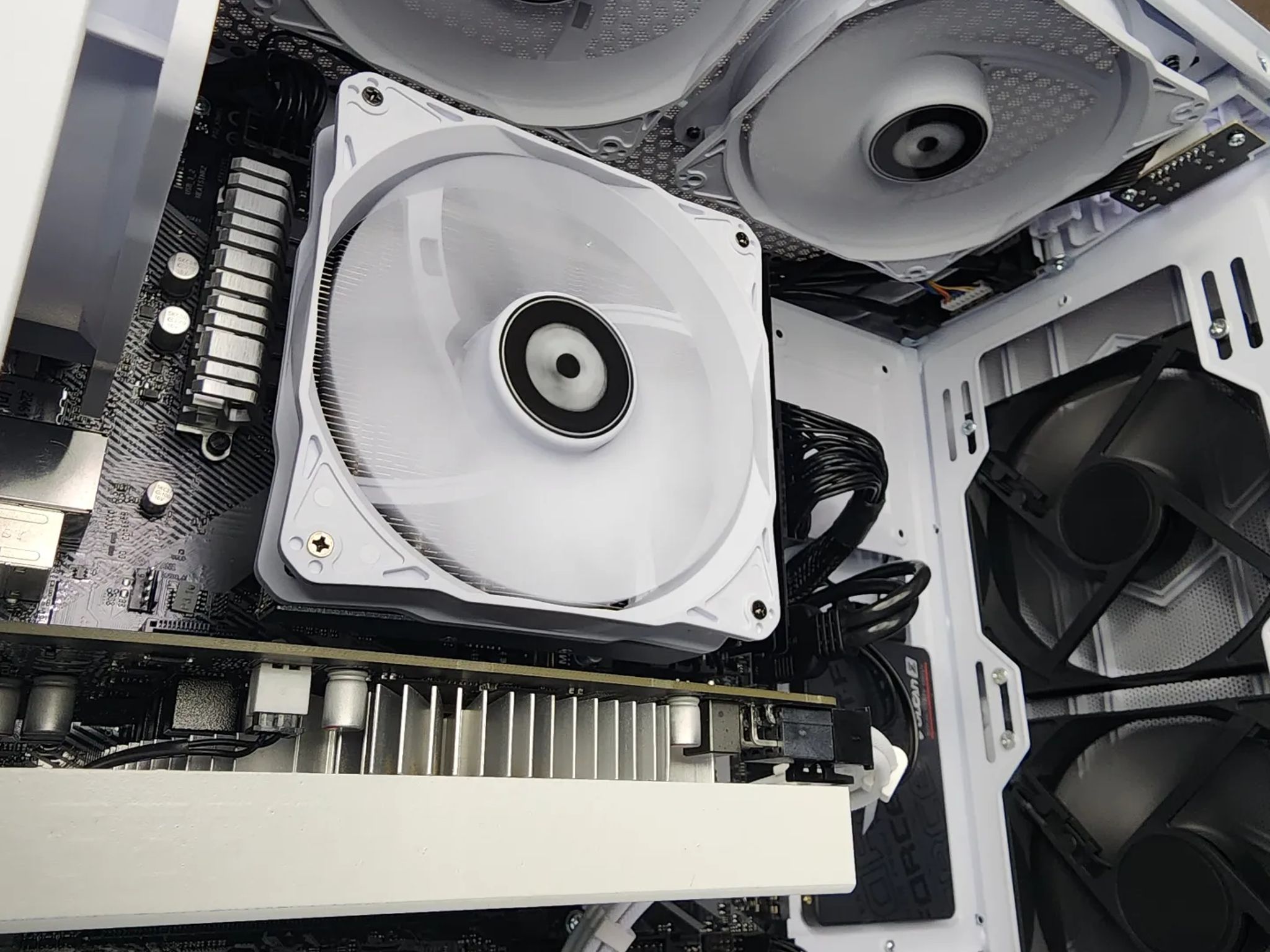 🐻‍❄🐻‍❄🐻‍❄ Nvidia GTX 1650 Super // Ryzen 5 3500X // Neo Forza 16GB 3600MHz