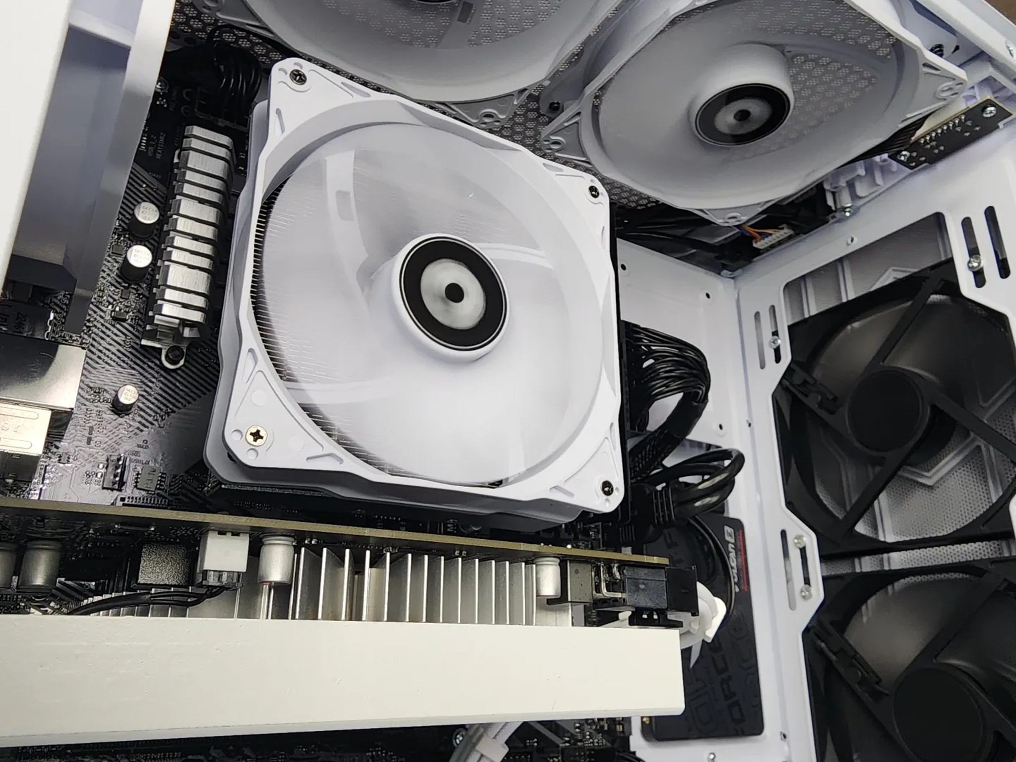 🐻‍❄🐻‍❄🐻‍❄ Nvidia GTX 1650 Super // Ryzen 5 3500X // Neo Forza 16GB 3600MHz