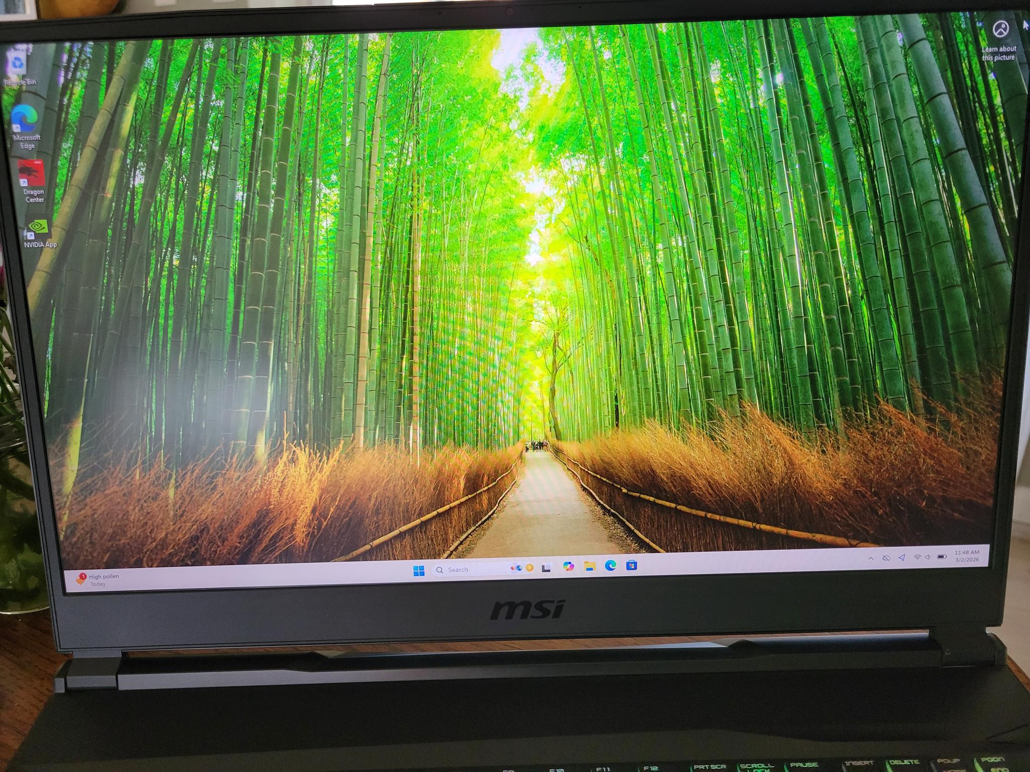 MSI GL75 Leopard