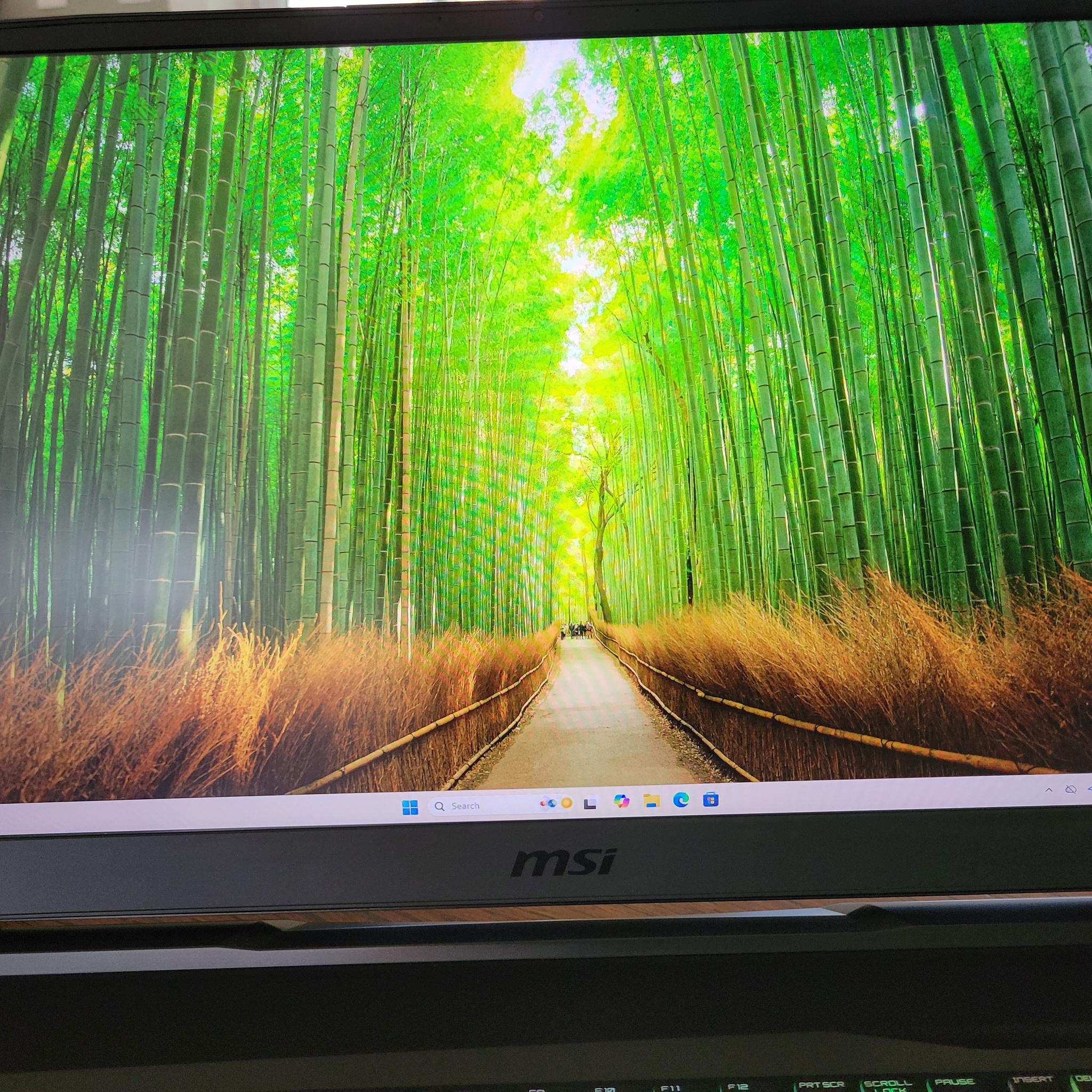 MSI GL75 Leopard