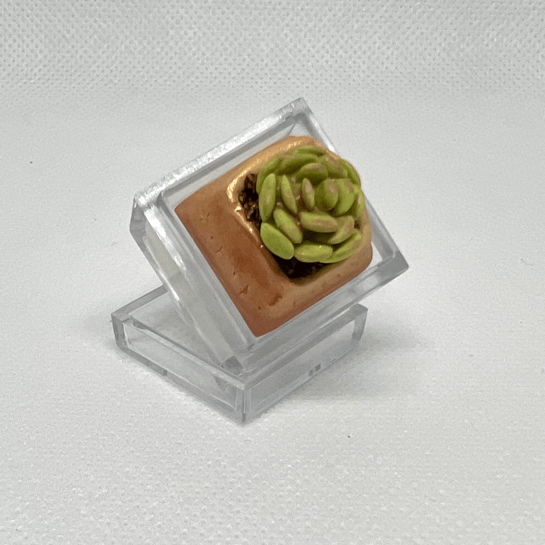 DOLLAR KEYCAPS!! *So Cute Lent^