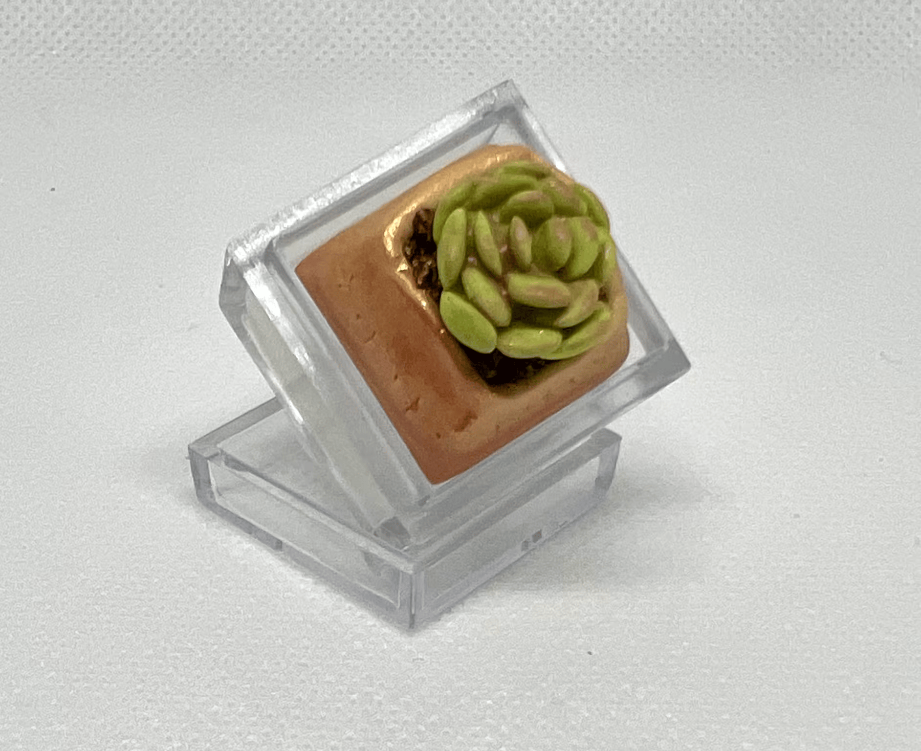 DOLLAR KEYCAPS!! *So Cute Lent^