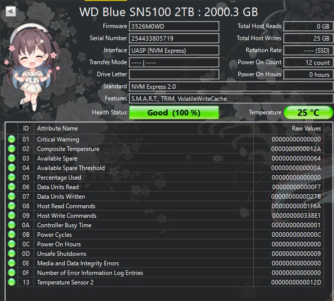 WD Blue SN5100 2TB PCIe Gen4 NVMe M.2 SSD | Tested Working