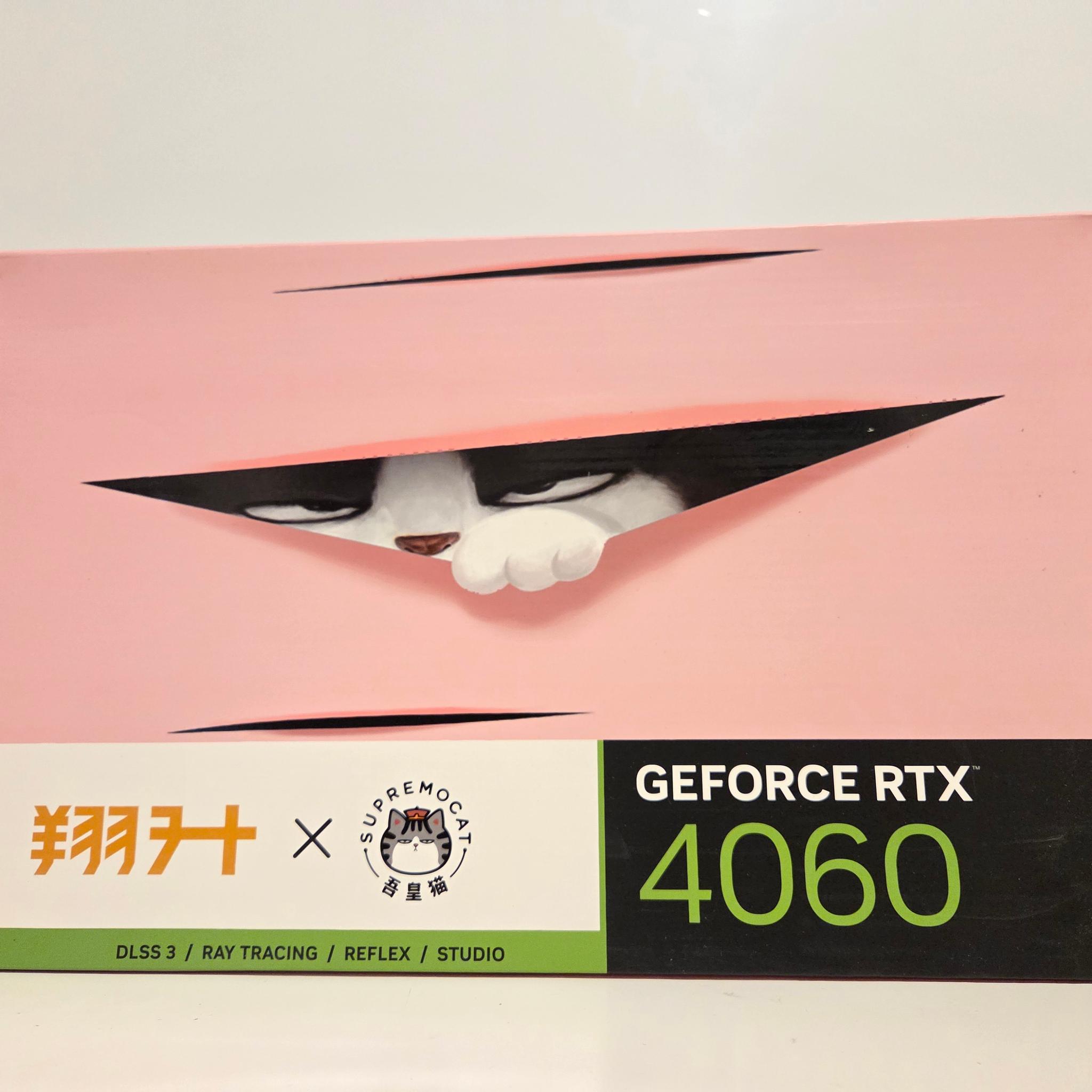 ASL GeForce RTX 4060 Cute Pet Graphics Card