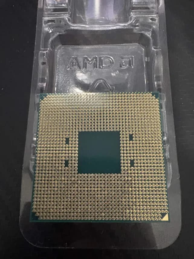 AMD Ryzen 5 5600