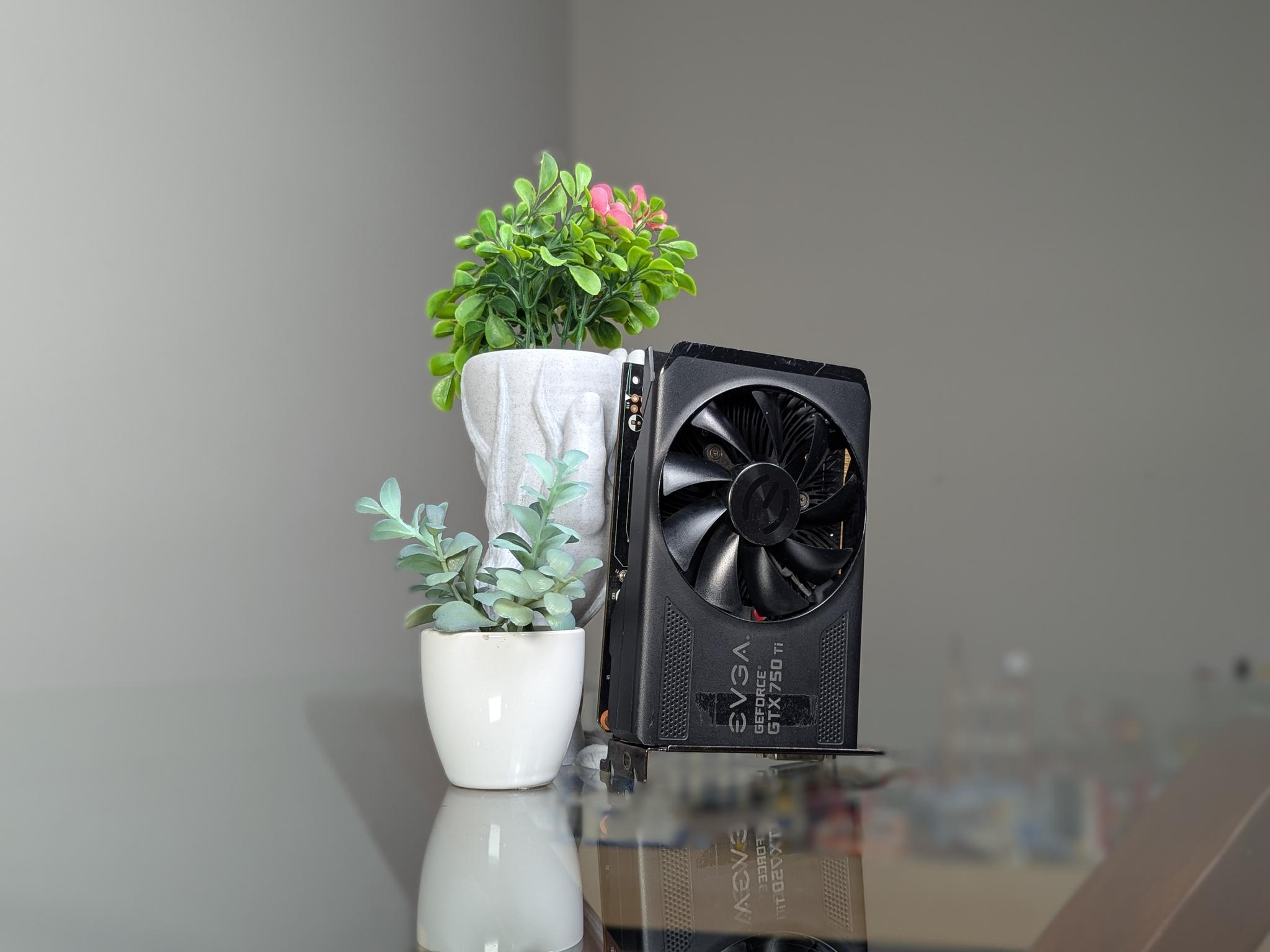 EVGA GTX 750Ti | Please Read Description | Powers On, But No Video Signal (??)