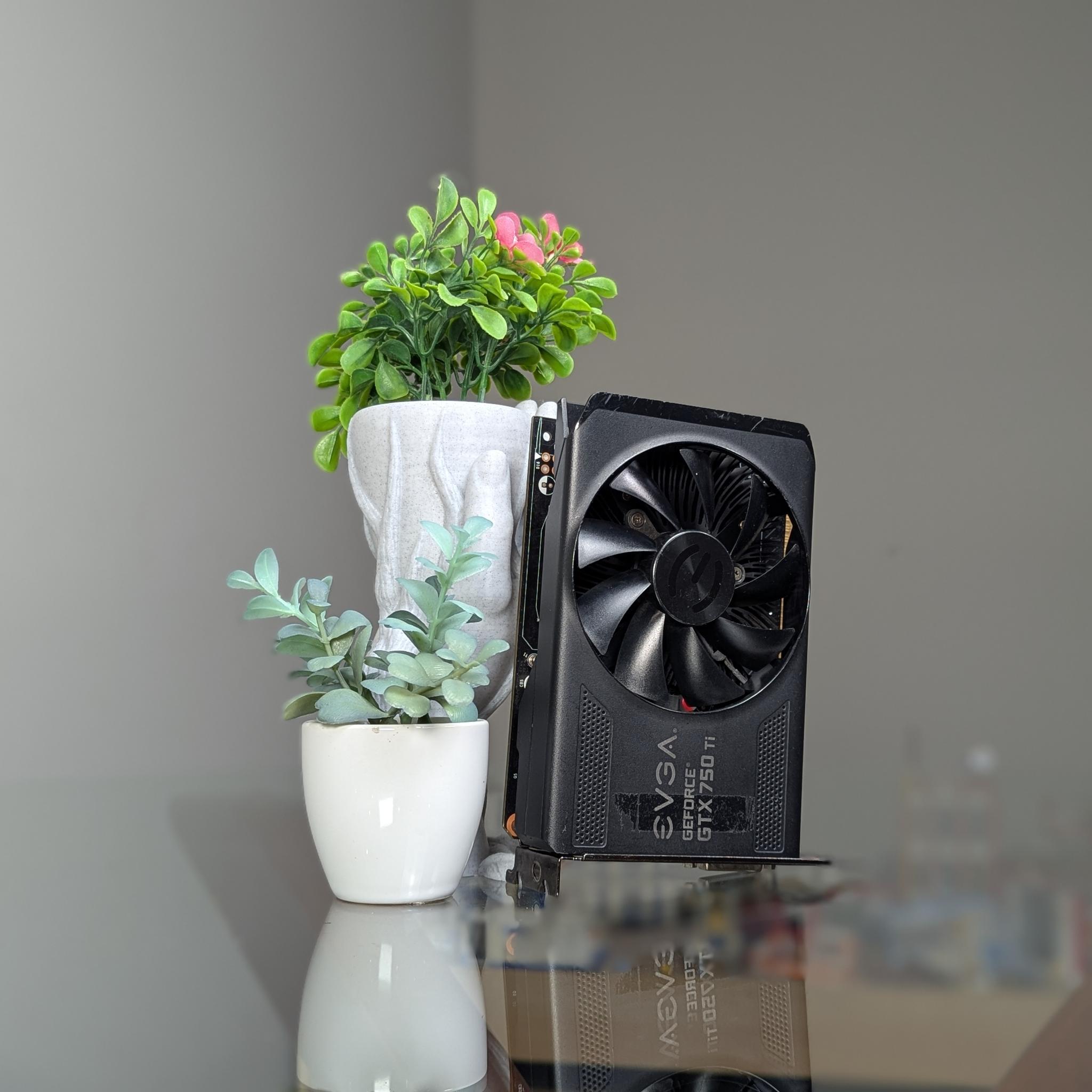EVGA GTX 750Ti | Please Read Description | Powers On, But No Video Signal (??)