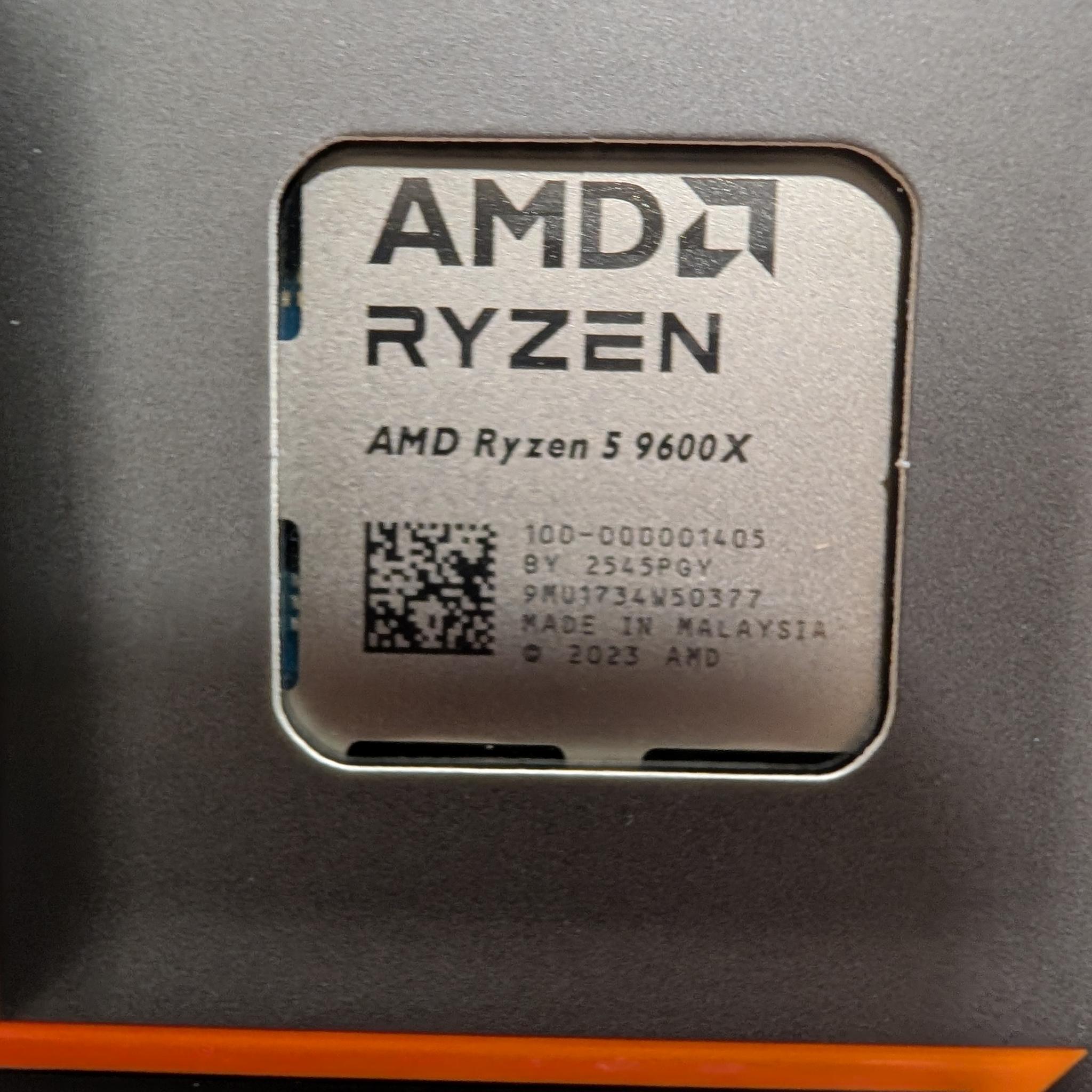 AMD Ryzen 5 9600X (NEW!)
