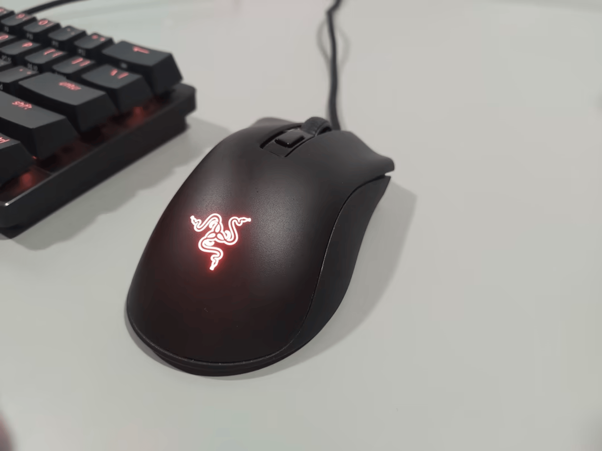 Razer MINI BUNDLE (Huntsman & Deathadder)
