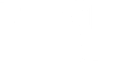 Tech Lion