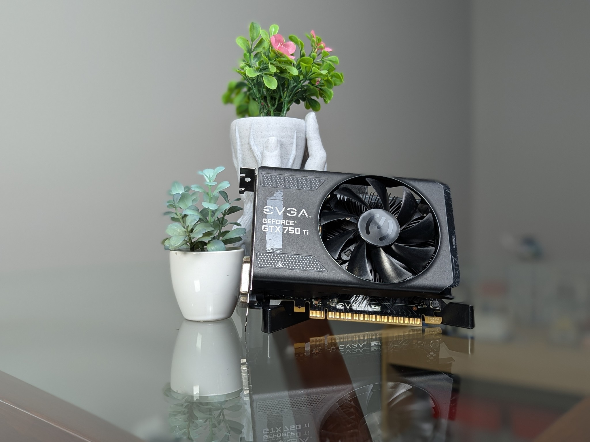 EVGA GTX 750Ti | Please Read Description | Powers On, But No Video Signal (??)