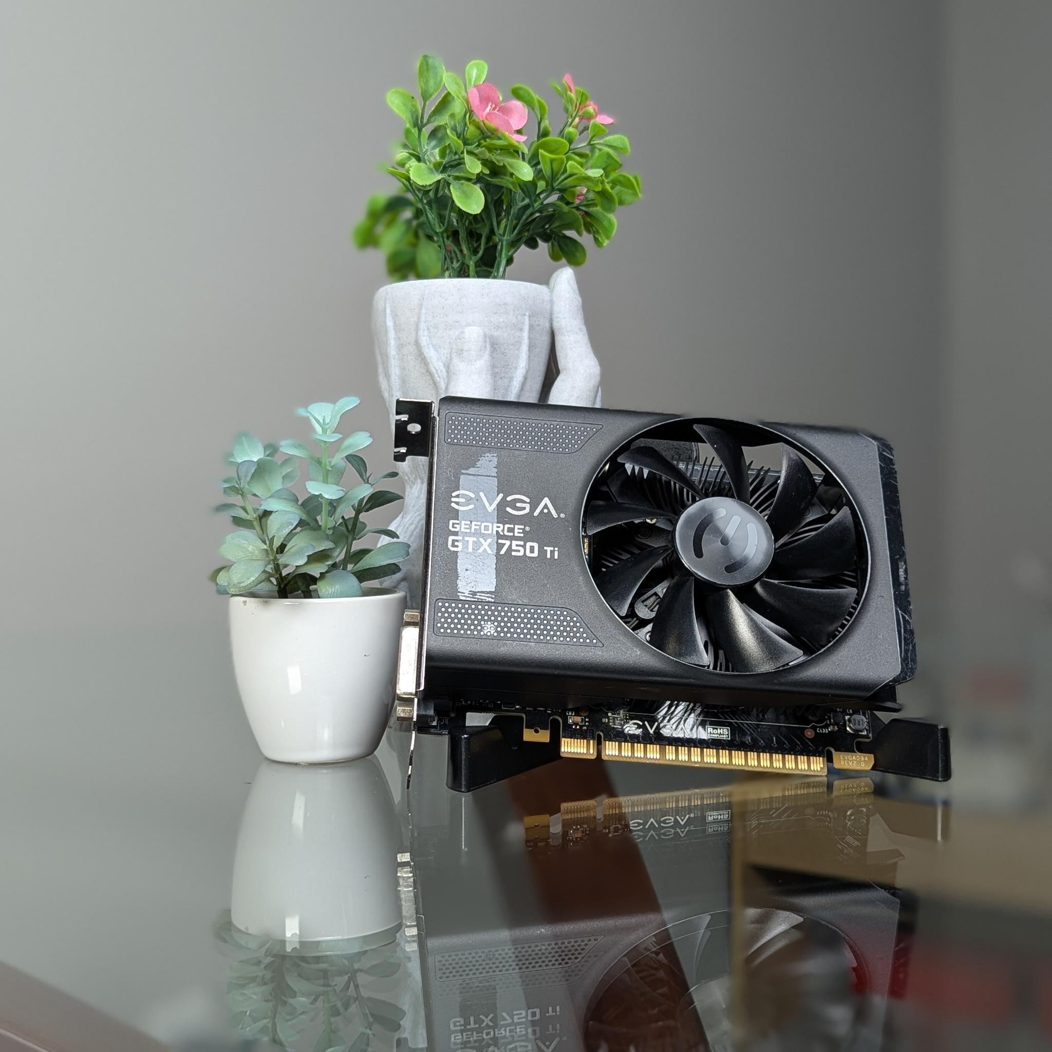 EVGA GTX 750Ti | Please Read Description | Powers On, But No Video Signal (??)