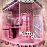 Spectral Kitty Custom PC Case - Hyte Y70 Strawberry