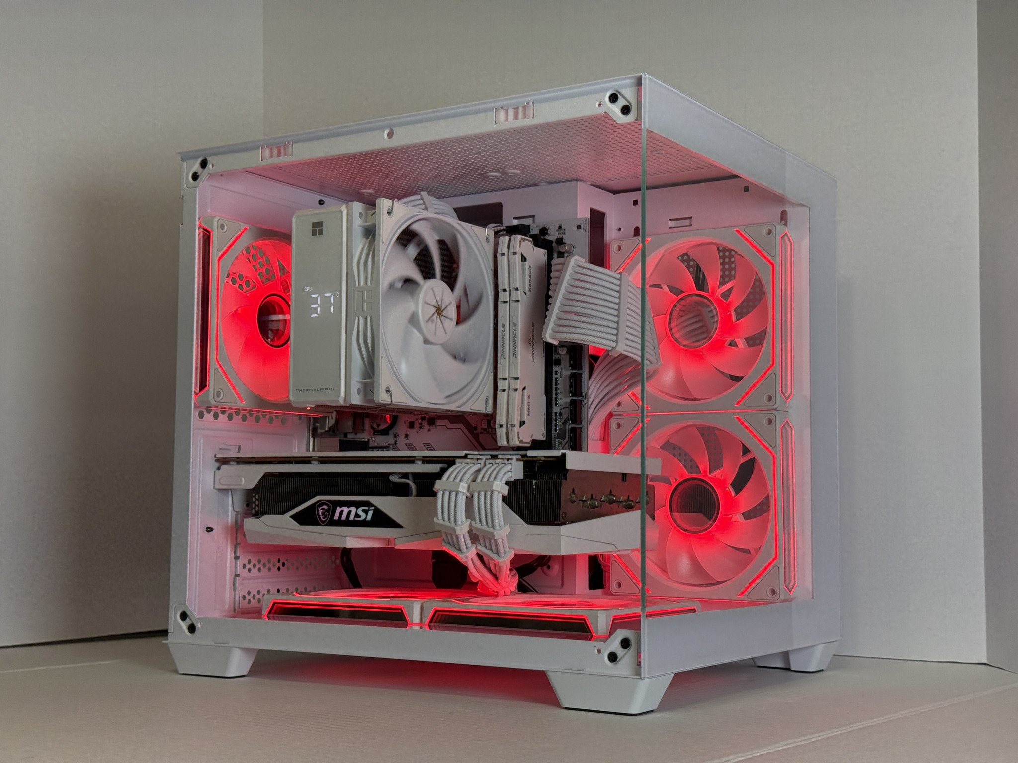 Polar Beast 1440p | RX 6700 XT | Ryzen 5 5600 | 1TB NVMe