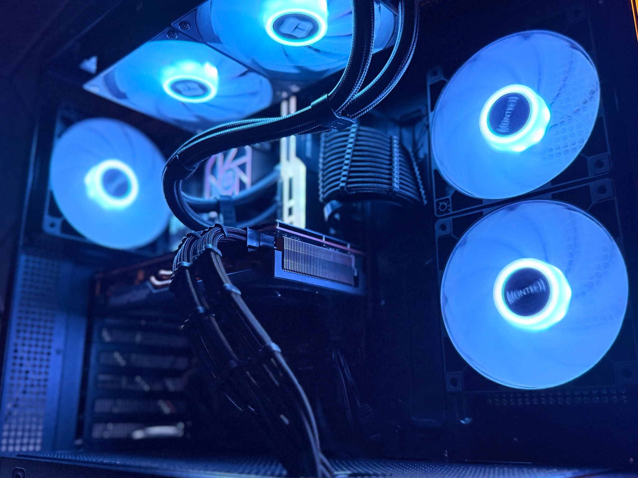 🐺 Cerberus 🐺 AMD RX 5700 XT / Intel Core i5-12500 / 1TB NVME / 32GB Ram / 240 AIO / Windows 11 Pro