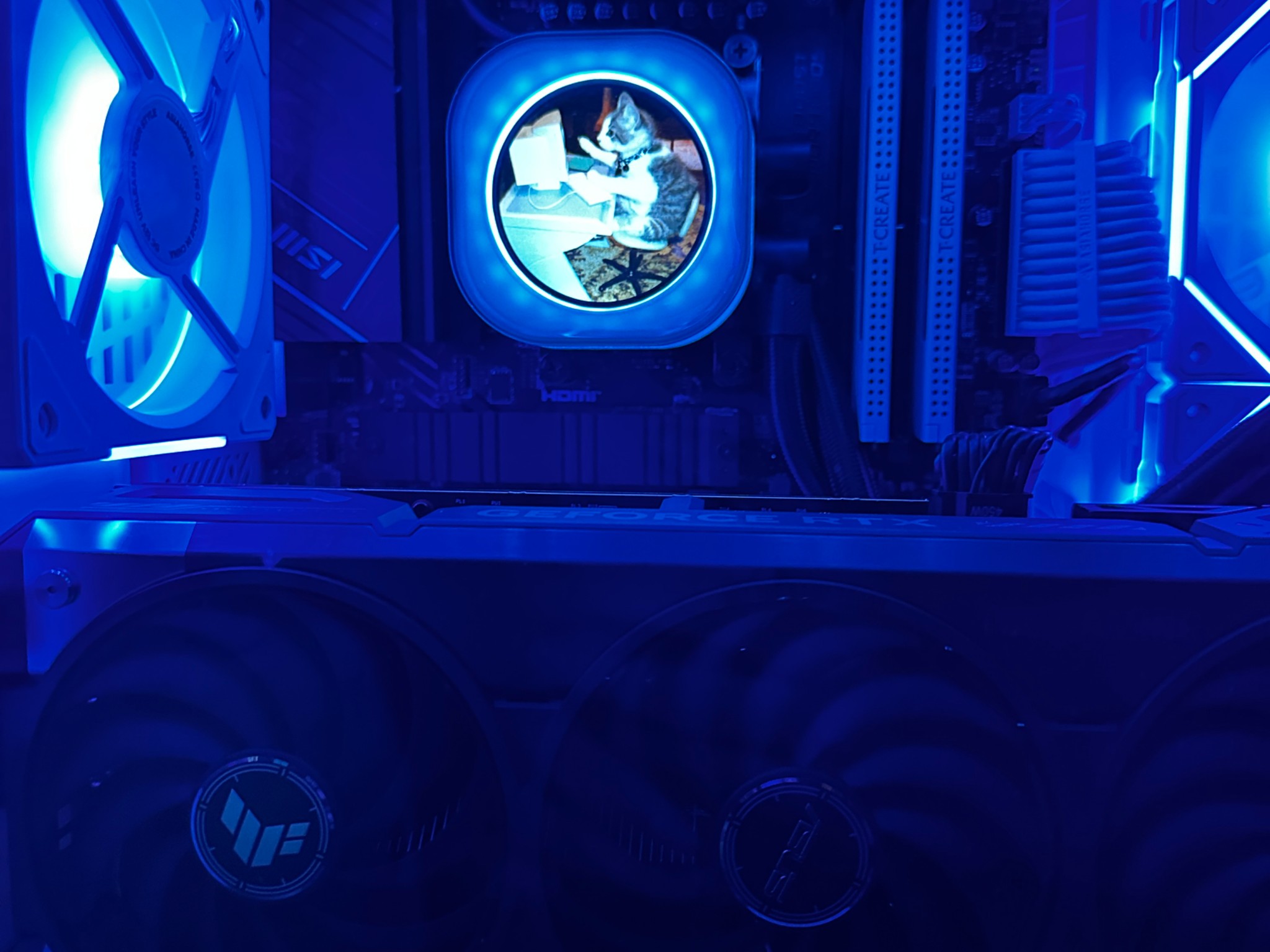 White & Black Hyte Y40, 7800x3d paired with an ASUS TUF 5070ti 16gb