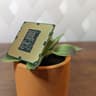 Intel Core i5-650 3.2 GHz 2.5GT/s LGA1156 Desktop CPU Processor