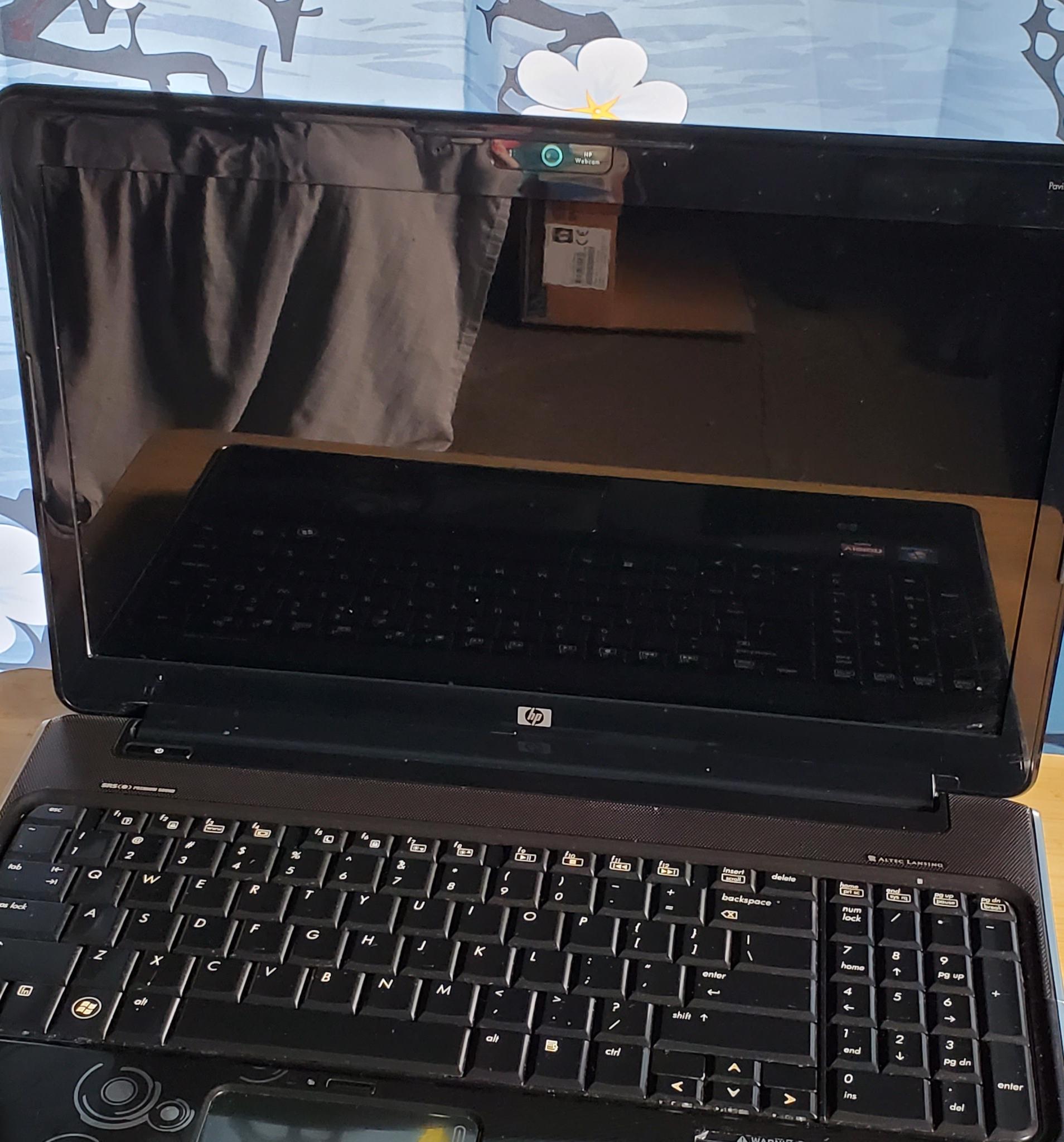 HP Pavilion dv6-2066dx Laptop (Linux Mint)