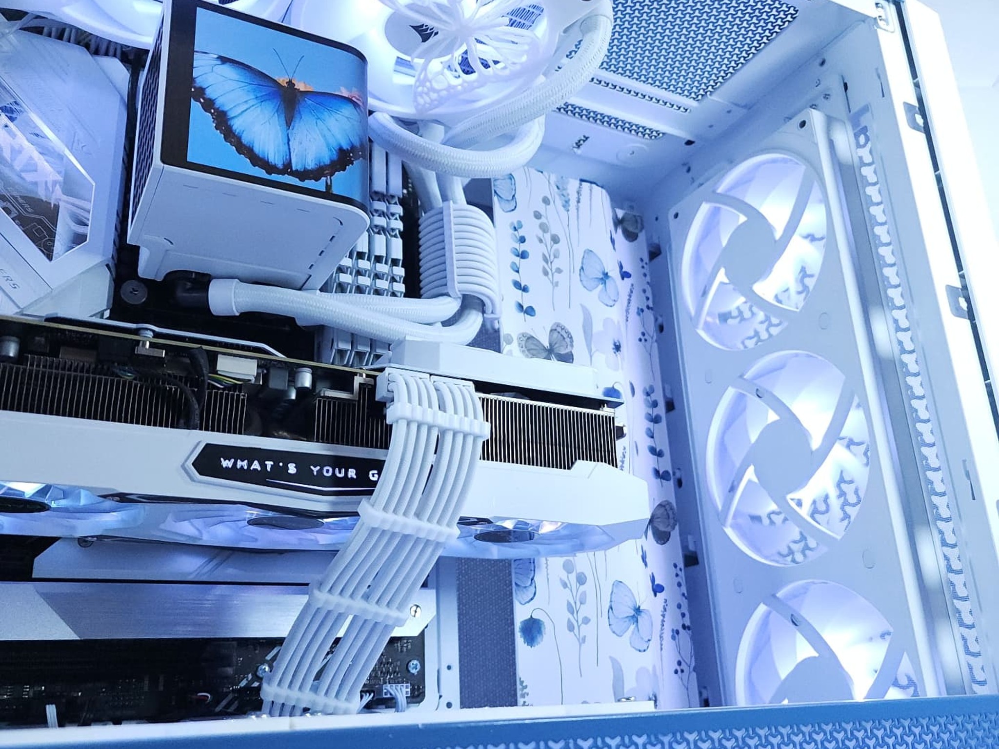 🦋RTX 3080 Core i9 12900K ● 1440p Gaming Computer