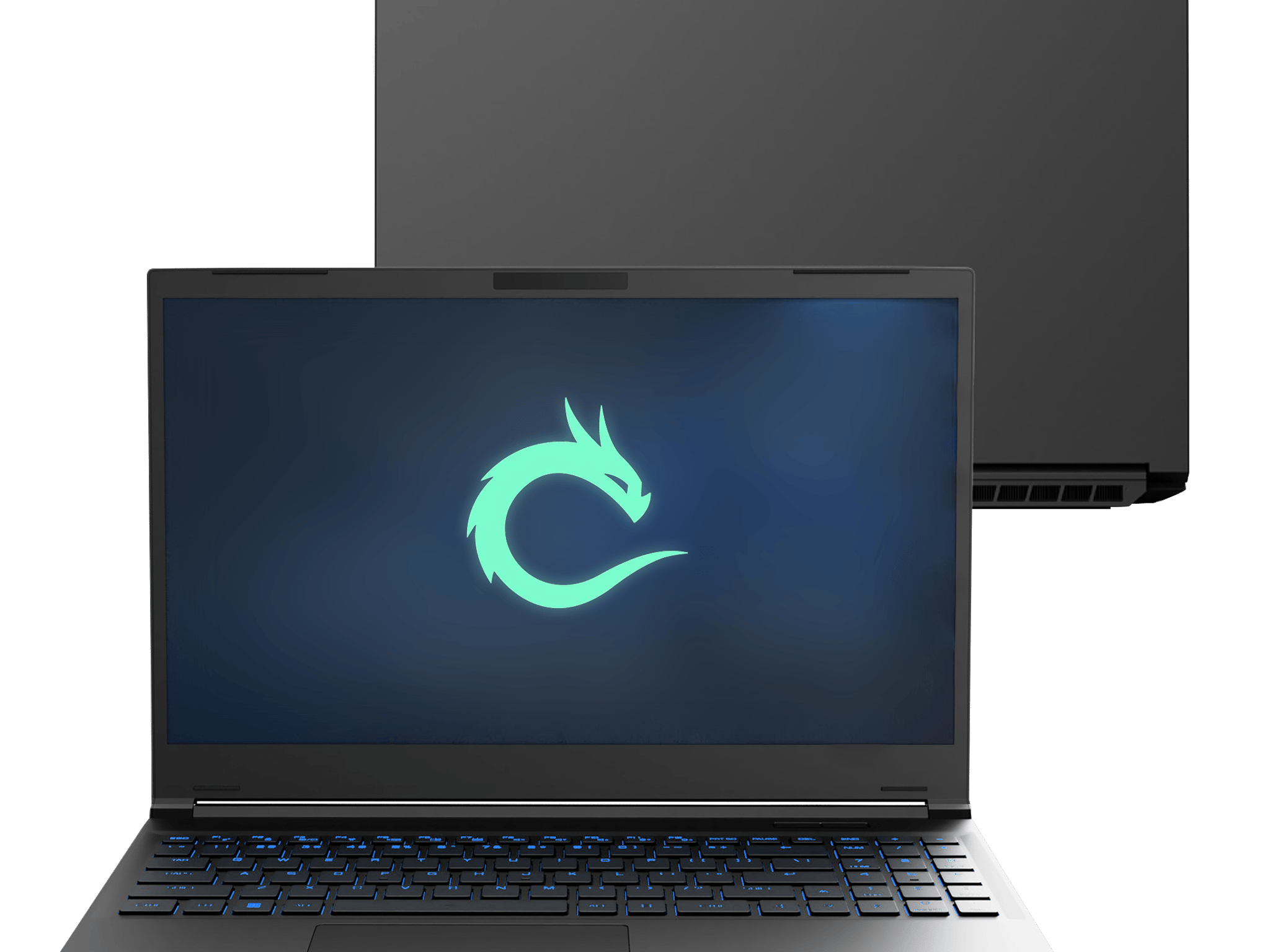 Ryzen 7 7840HS/RTX 4070/32GB DDR5/2TB/2K 165HZ Valyrian Pro Gaming Laptop