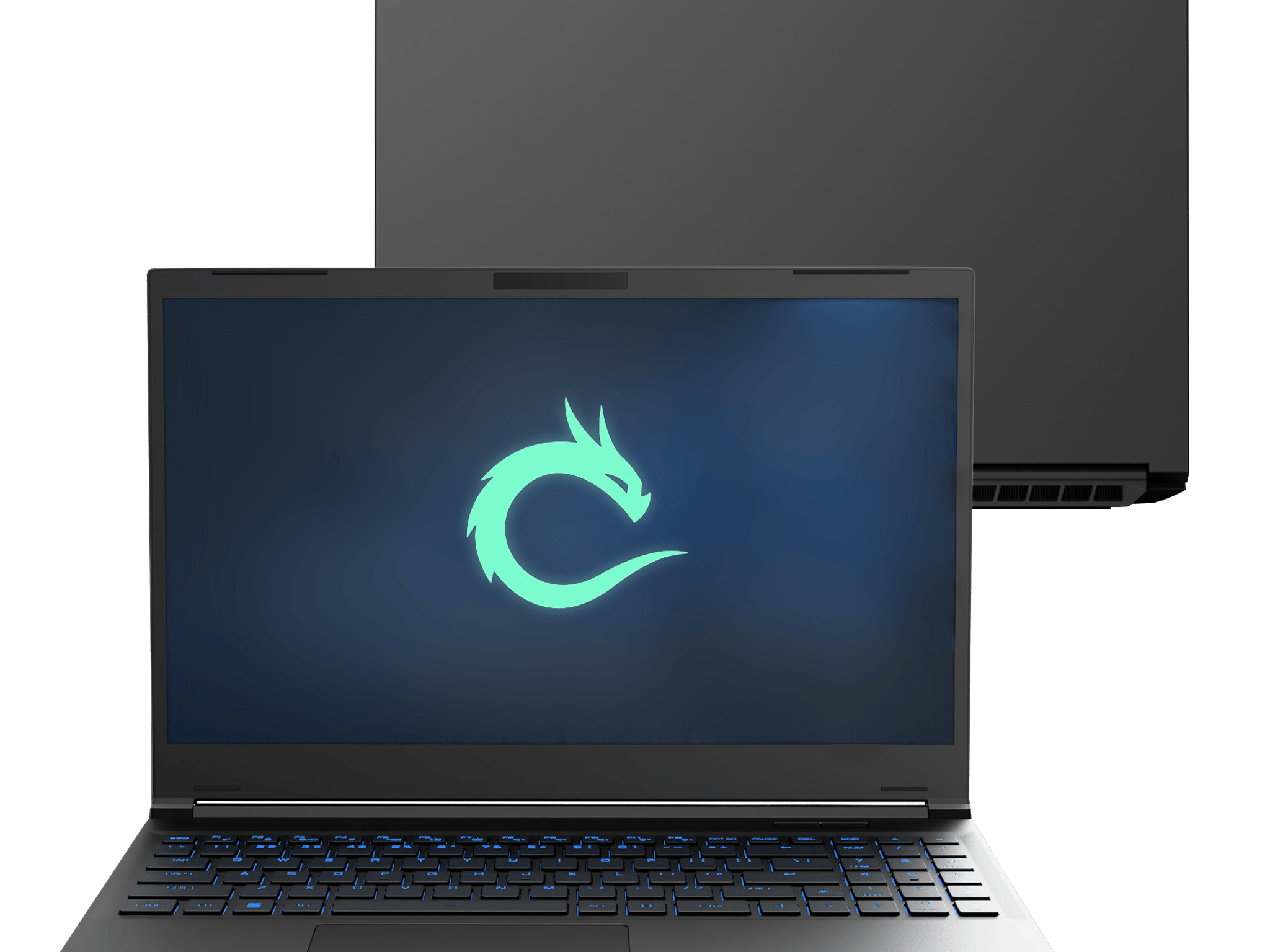 Ryzen 7 7840HS/RTX 4070/32GB DDR5/2TB/2K 165HZ Valyrian Pro Gaming Laptop