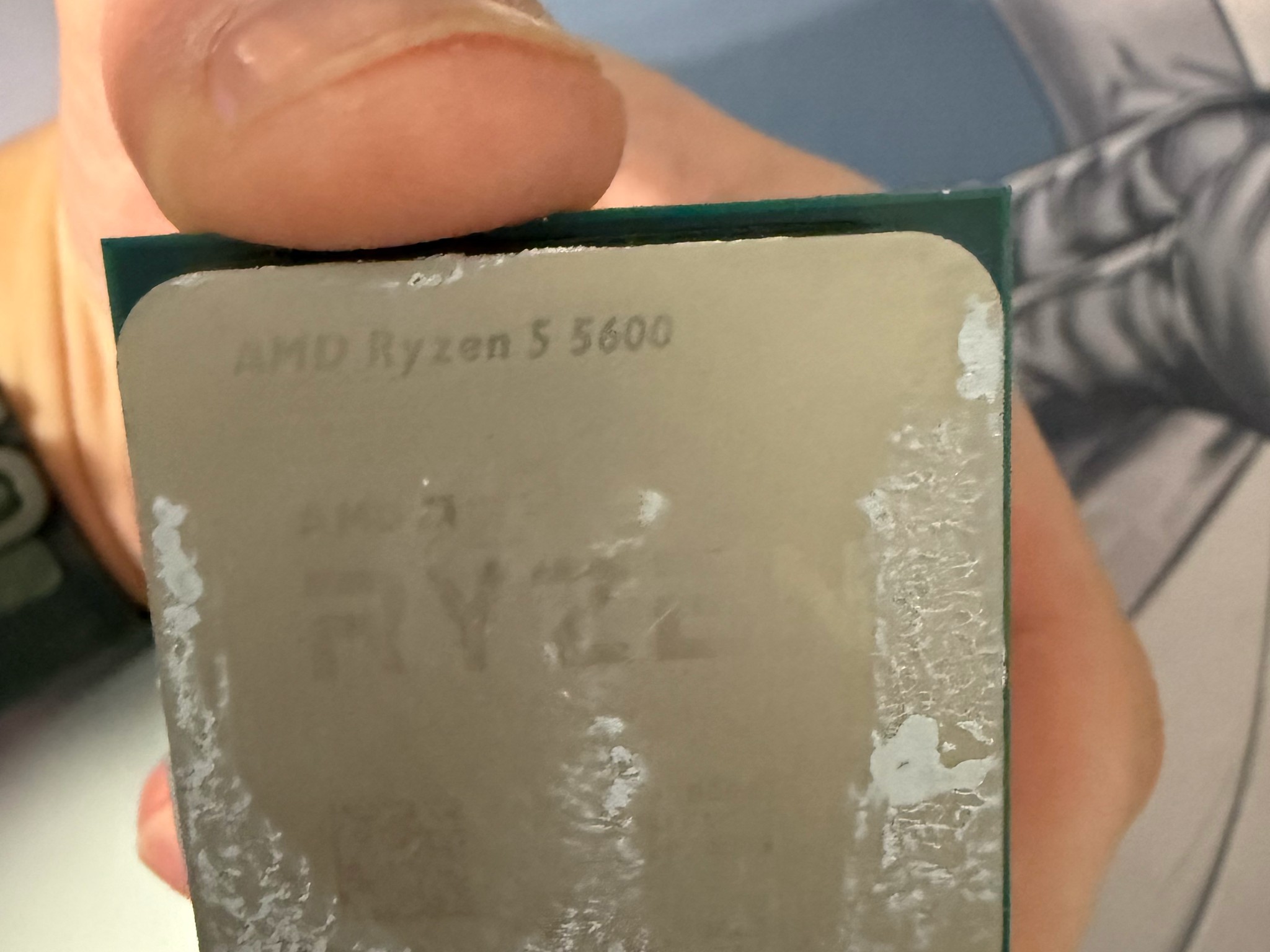 AMD Ryzen 5 5600