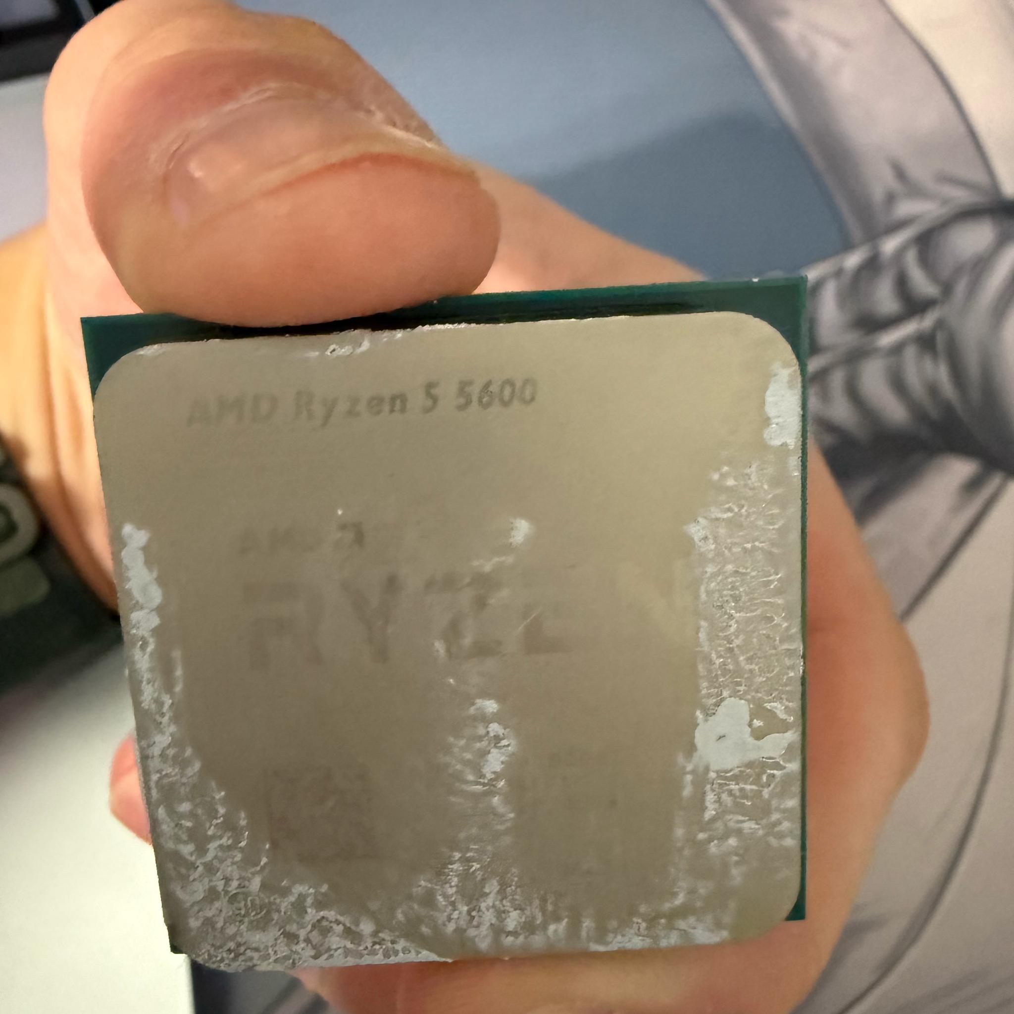 AMD Ryzen 5 5600
