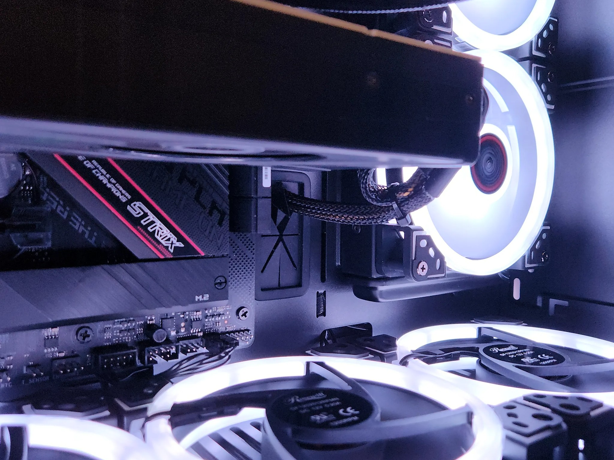 "THE BEAST" Gaming PC Ryzen 7 5800x / 32GB DDR4 / 1TB SSD/ RTX 3070 8GB 