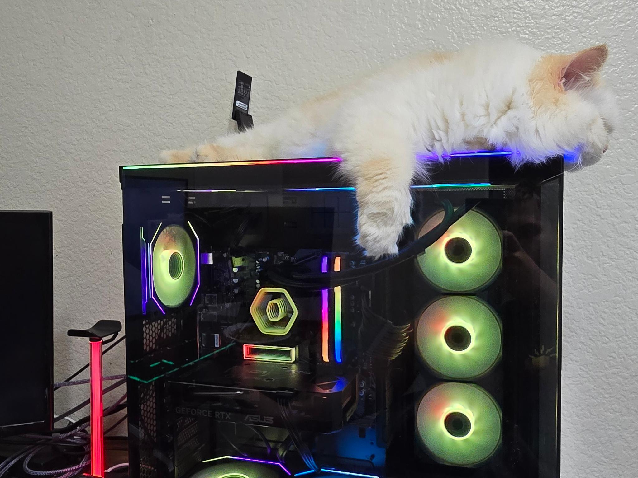Custom Gaming PC Build