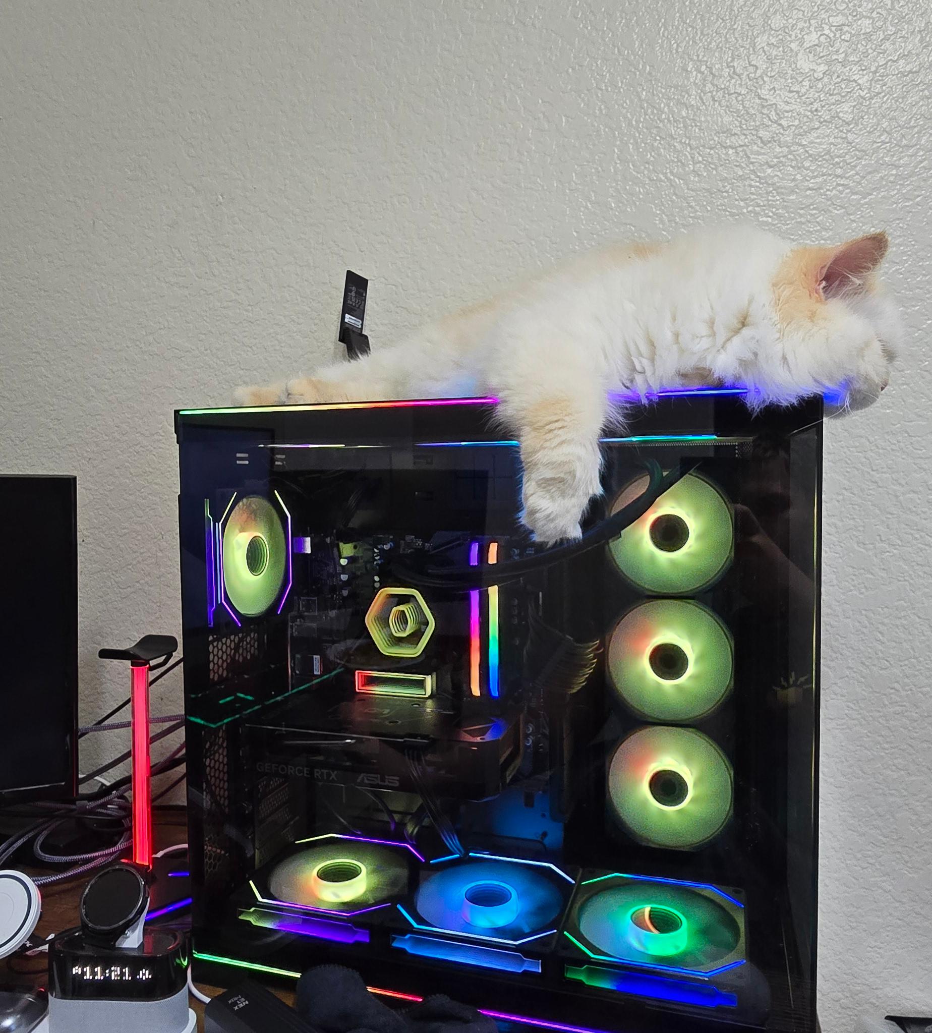 Custom Gaming PC Build