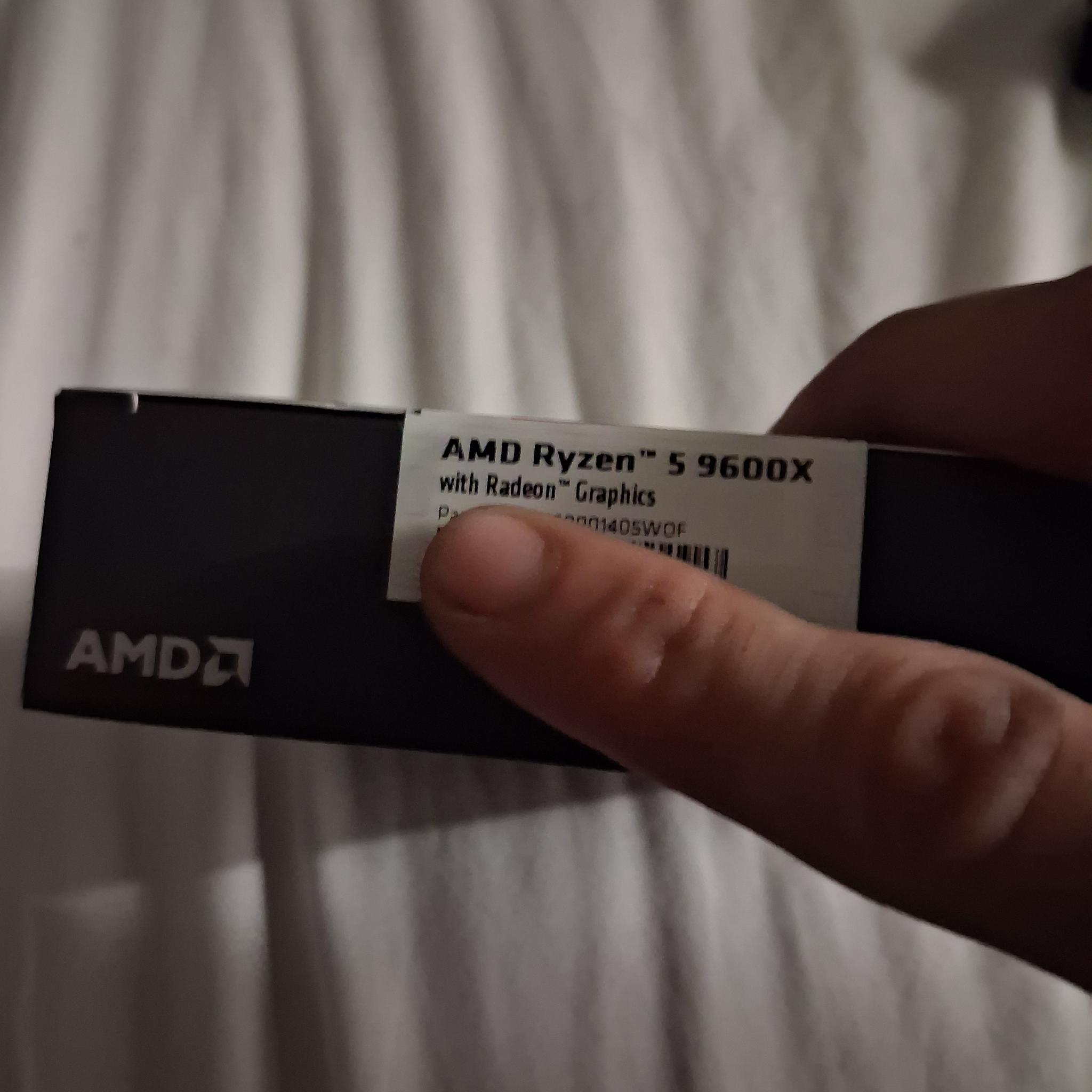 AMD Ryzen 5 9600X