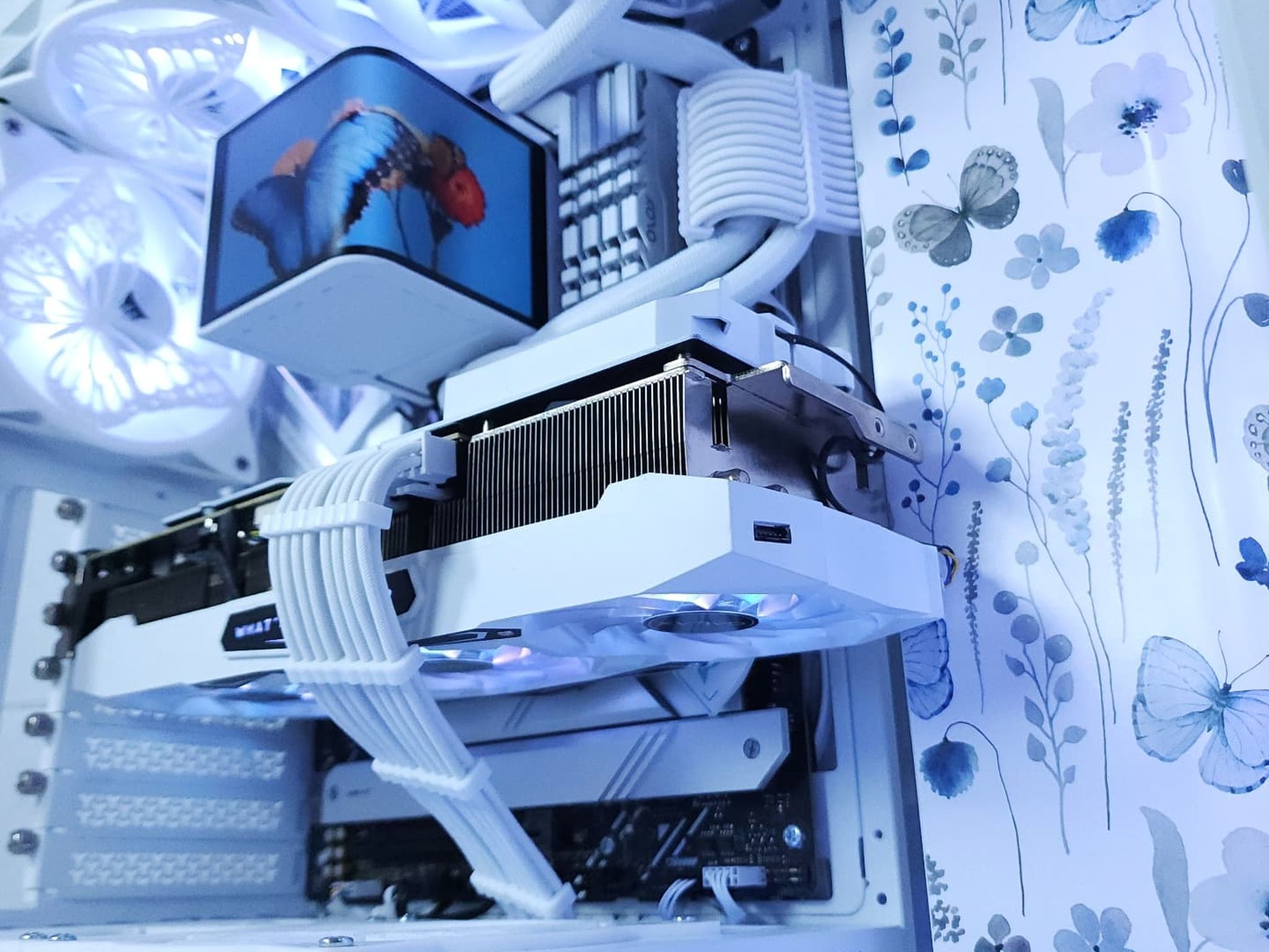 🦋RTX 3080 Core i9 12900K ● 1440p Gaming Computer