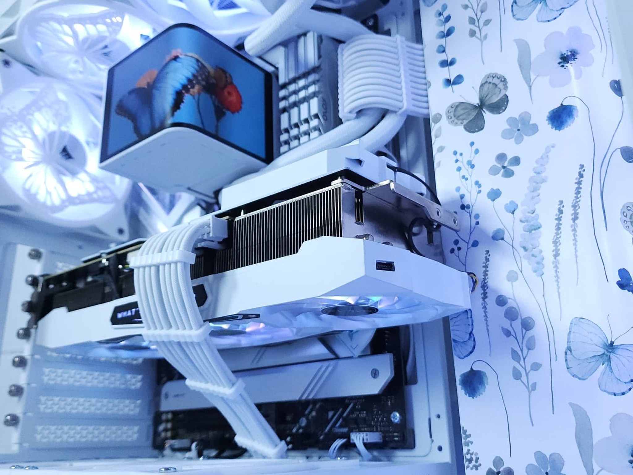 🦋RTX 3080 Core i9 12900K ● 1440p Gaming Computer